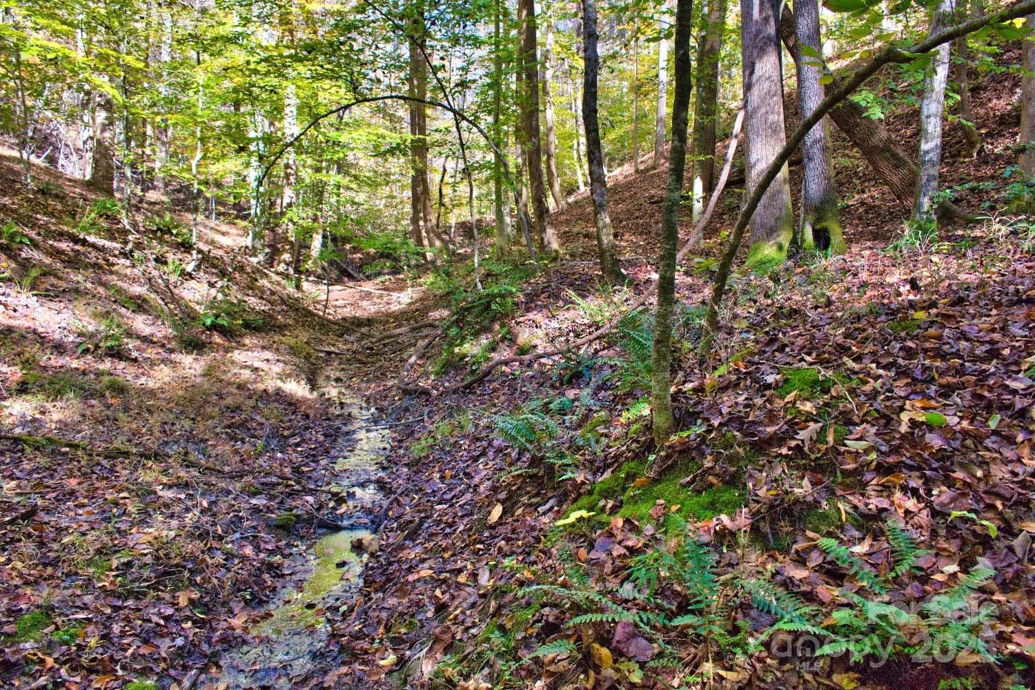 Lot at Rutherfordton, photo 5 of 5