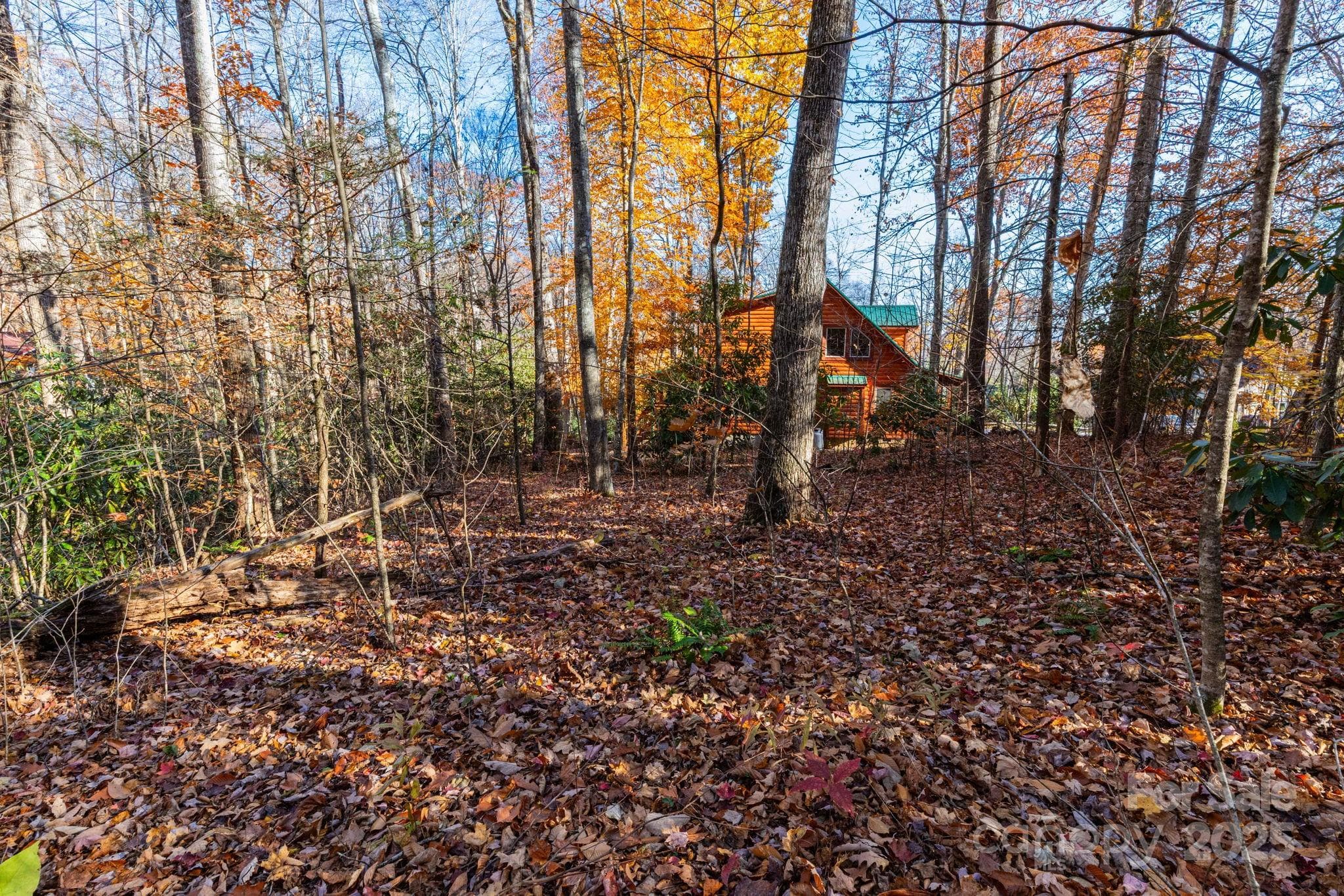 Lot at Maggie Valley, photo 3 of 22