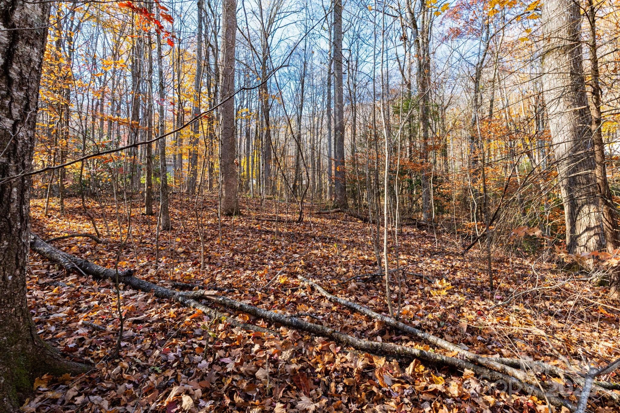 Lot at Maggie Valley, photo 4 of 22