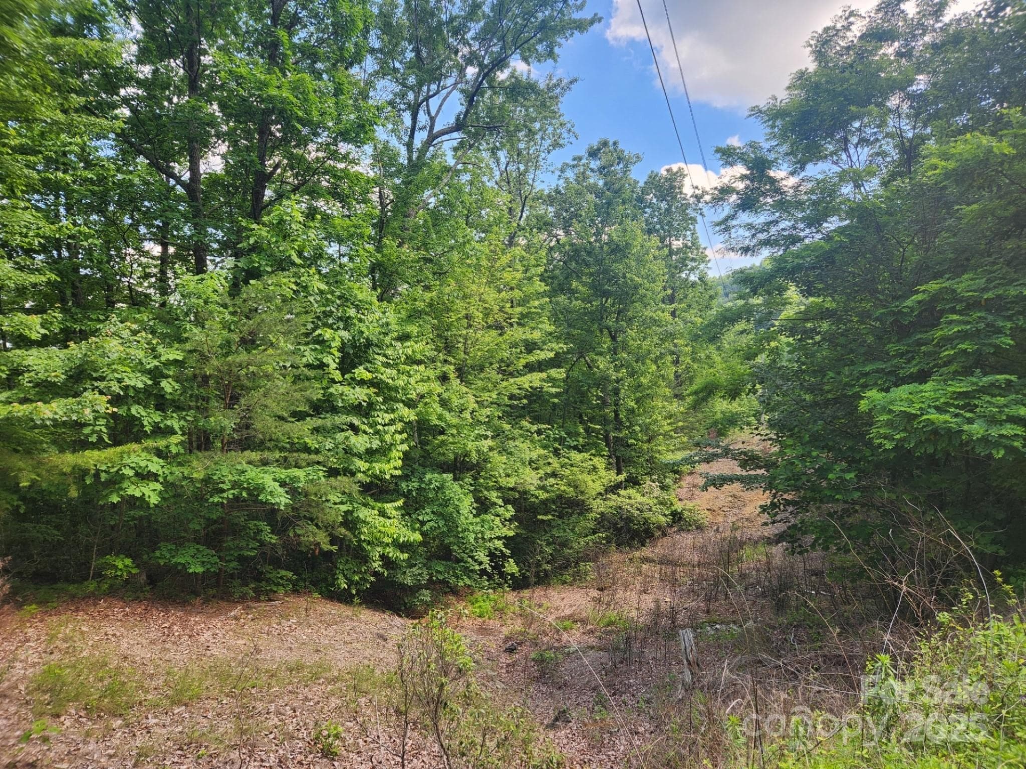 Lot at 00 Hickory Nut Lane, Lake Lure, photo 3 of 19