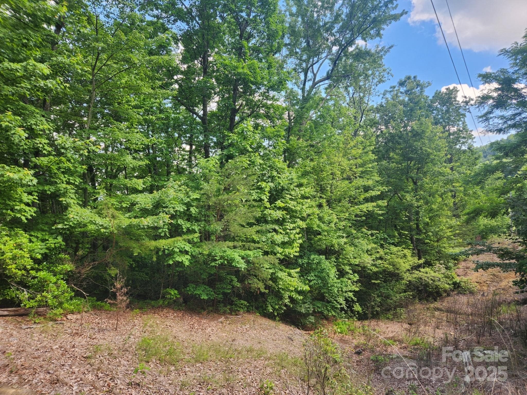 Lot at 00 Hickory Nut Lane, Lake Lure, photo 4 of 19