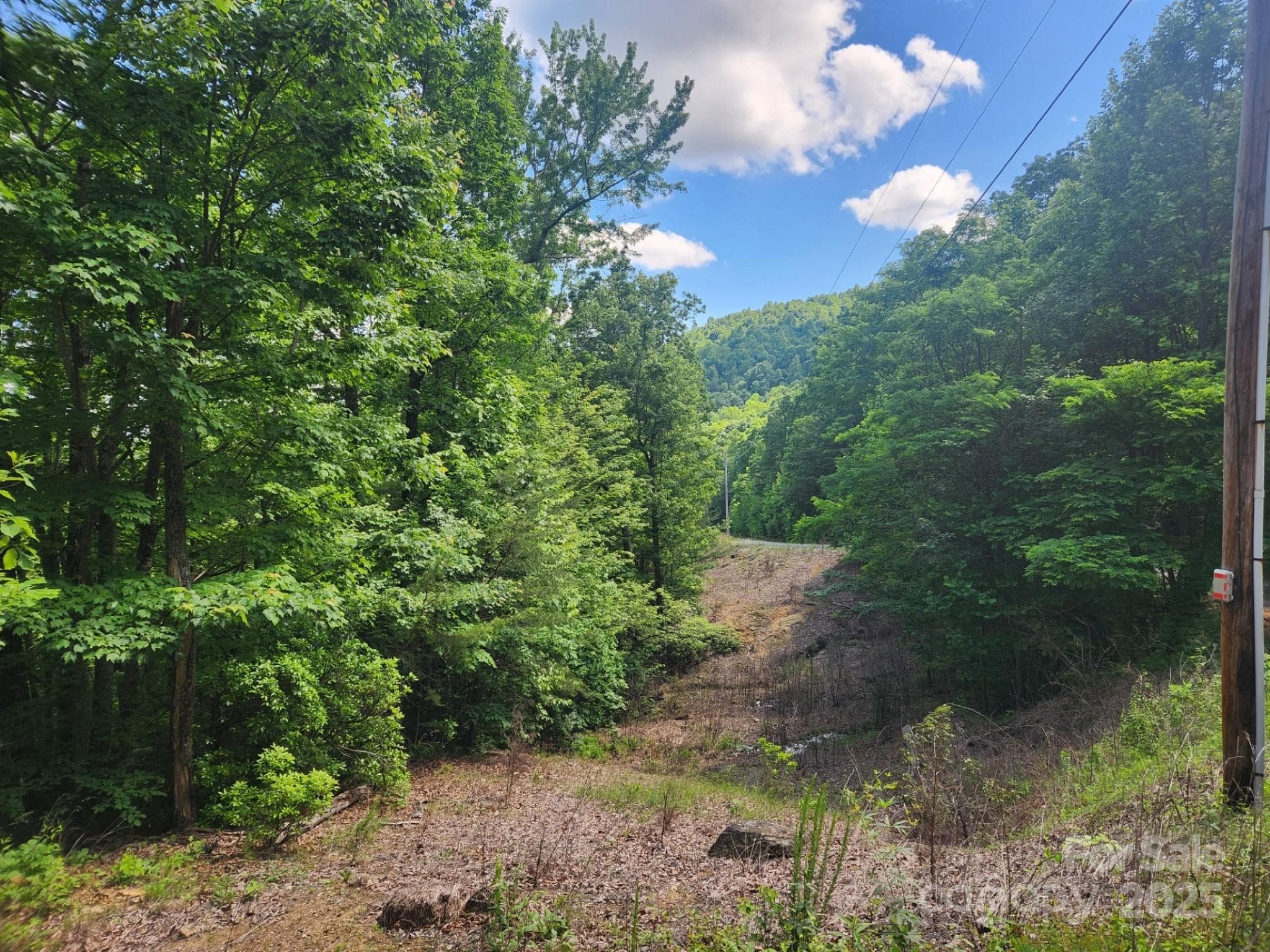Lot at 00 Hickory Nut Lane, Lake Lure, photo 5 of 19