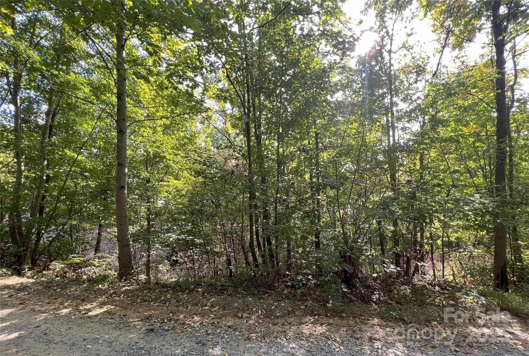 Lot at Lake Lure, photo 6 of 19