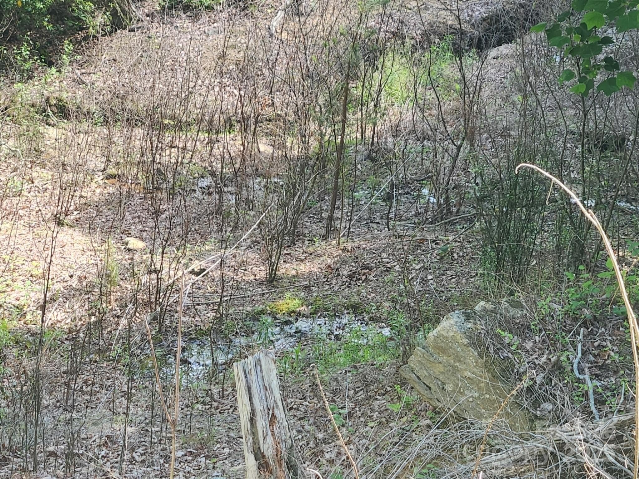 Stream/Creek - Lake Lure