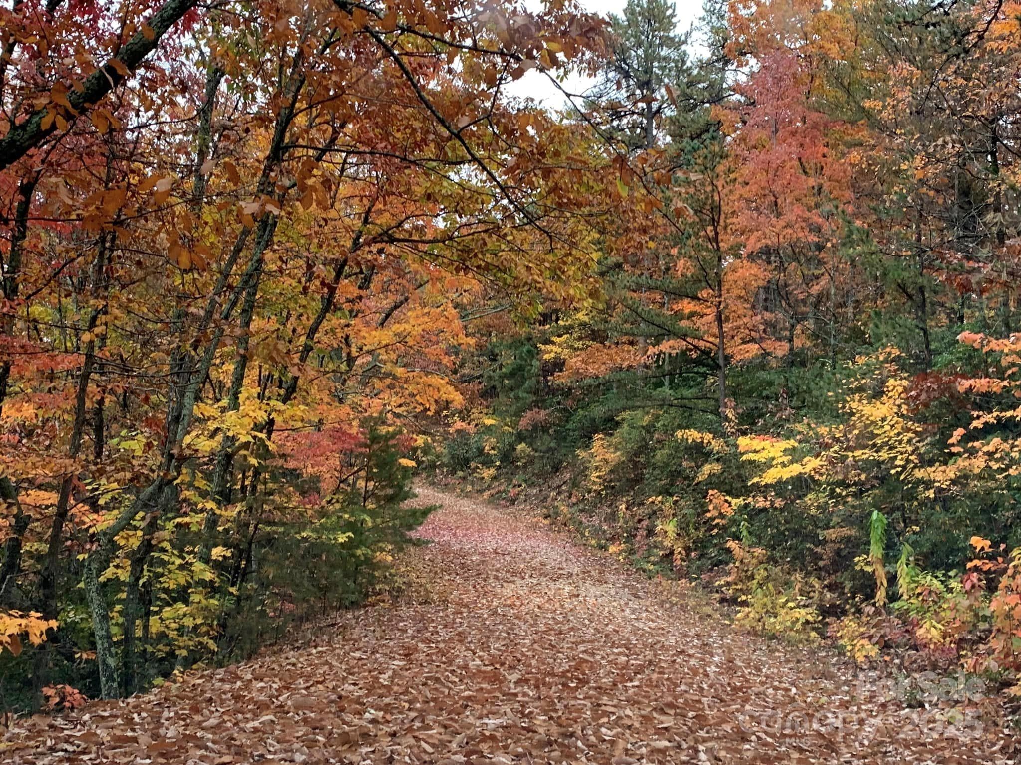 Lot at 00 Hickory Nut Lane, Lake Lure, photo 11 of 19