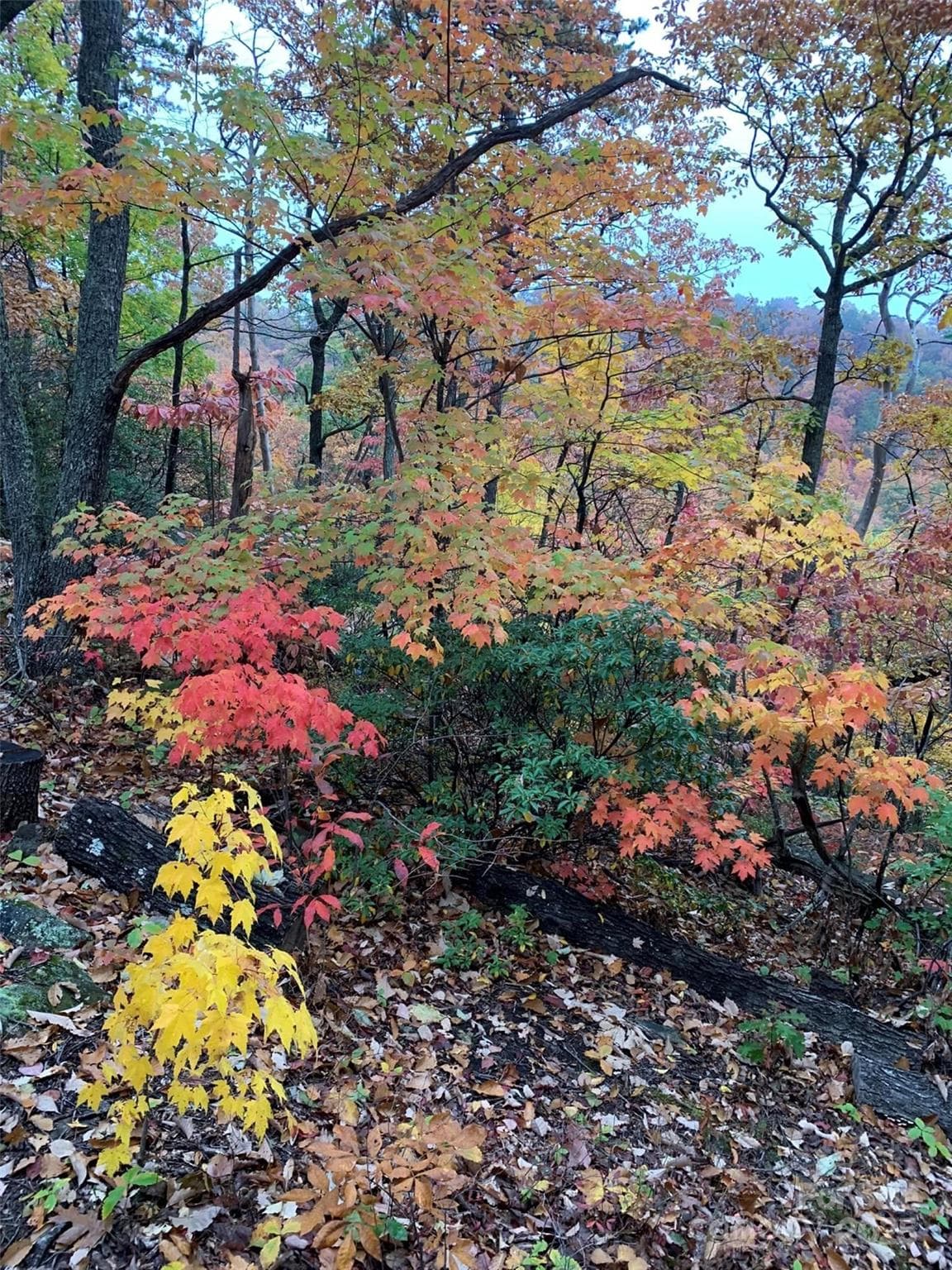 Lot at 00 Hickory Nut Lane, Lake Lure, photo 12 of 19