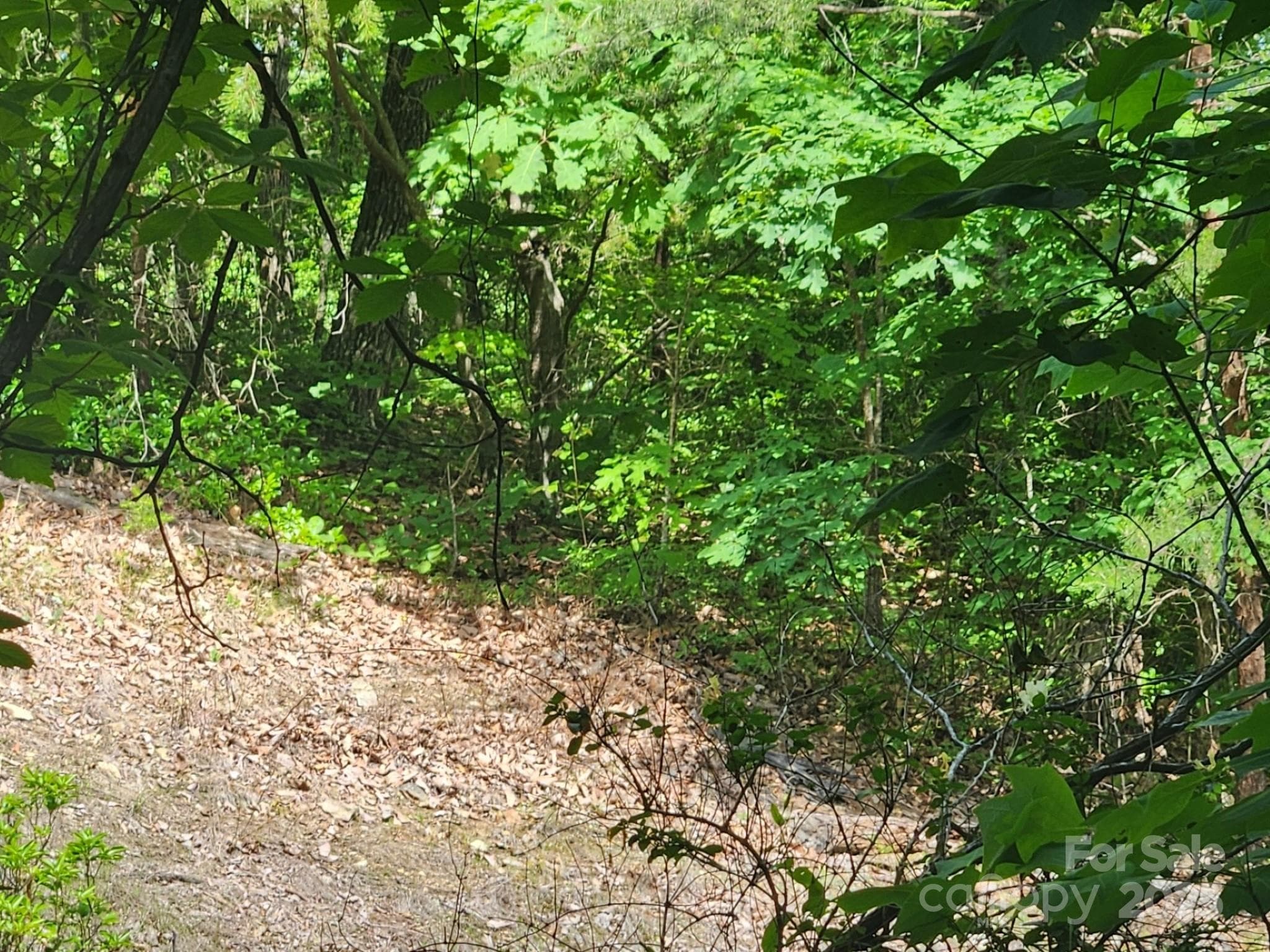Lot at Lake Lure, photo 17 of 19