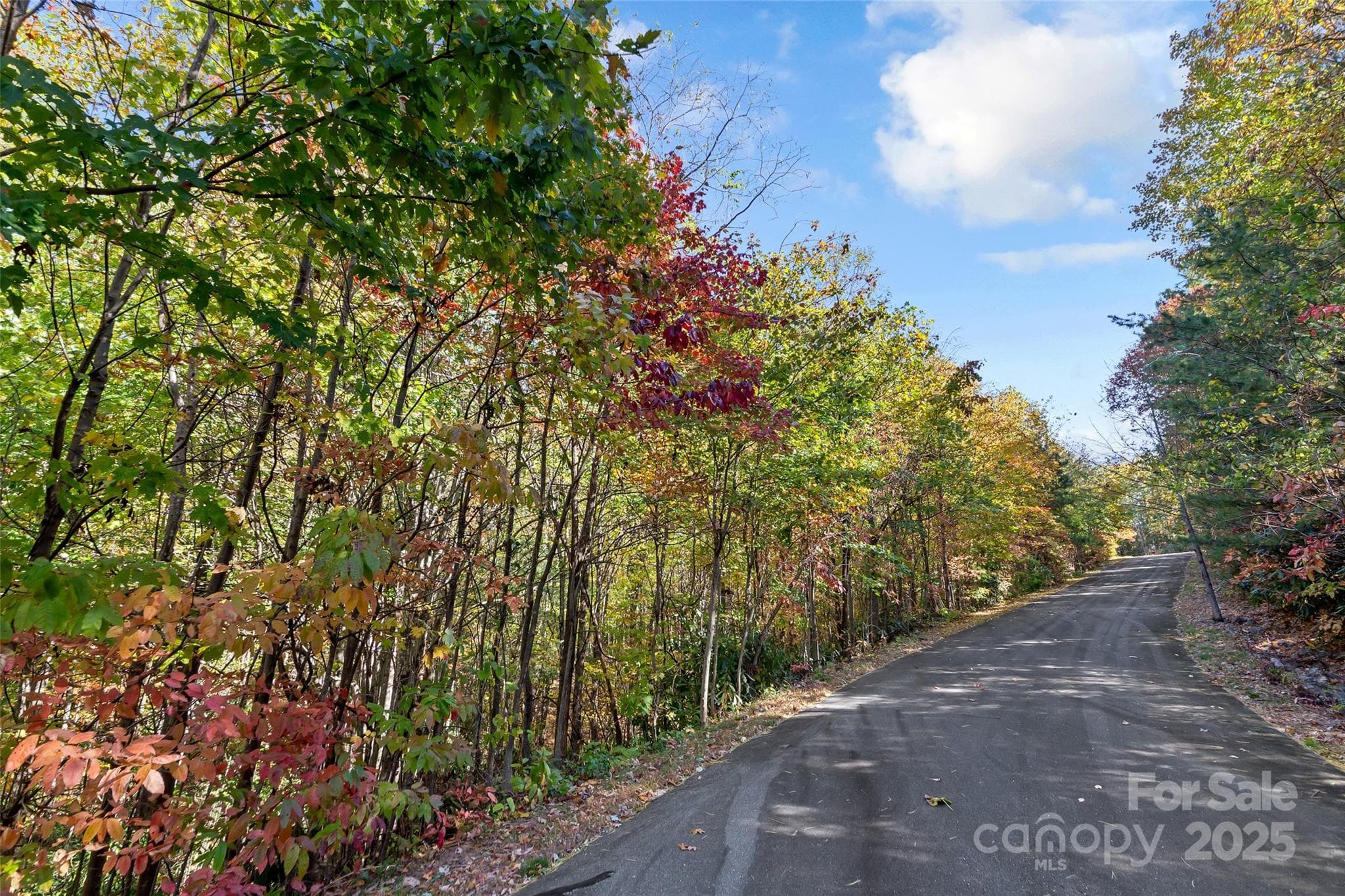 Lot at Black Mountain, photo 8 of 30