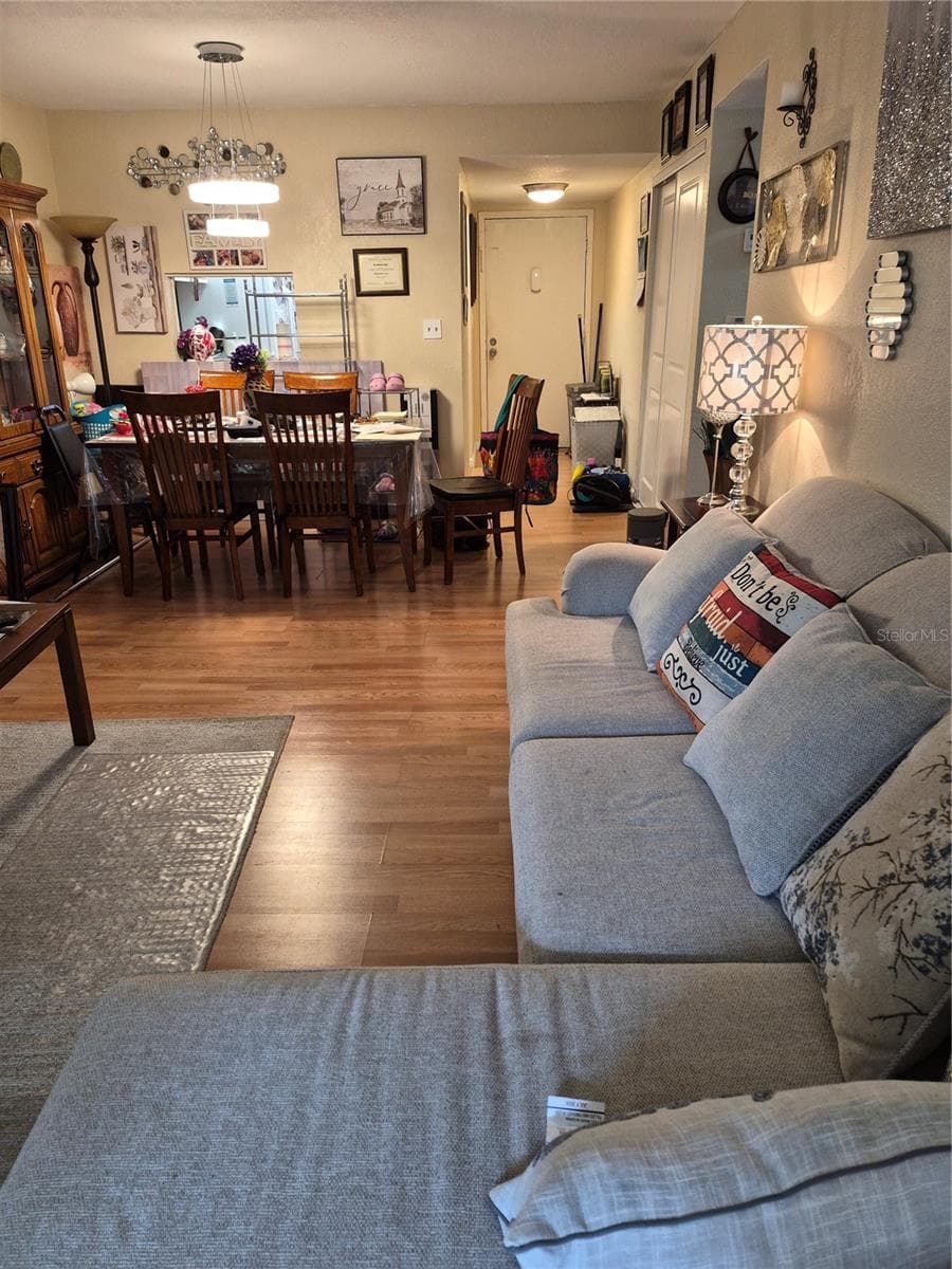View from rear porch to front door, dining area and kitchen - ORLANDO