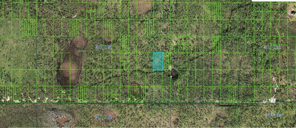 Land at N/A, FROSTPROOF, photo 3 of 3
