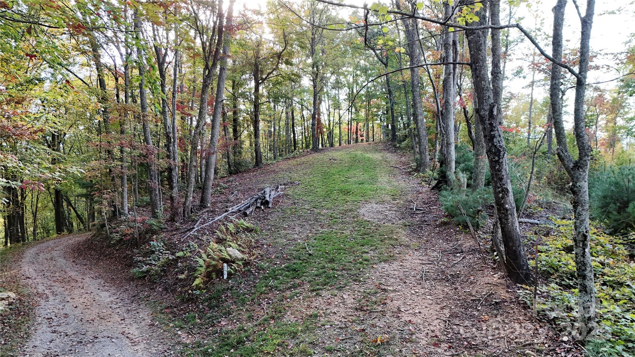 Homesite - Clyde