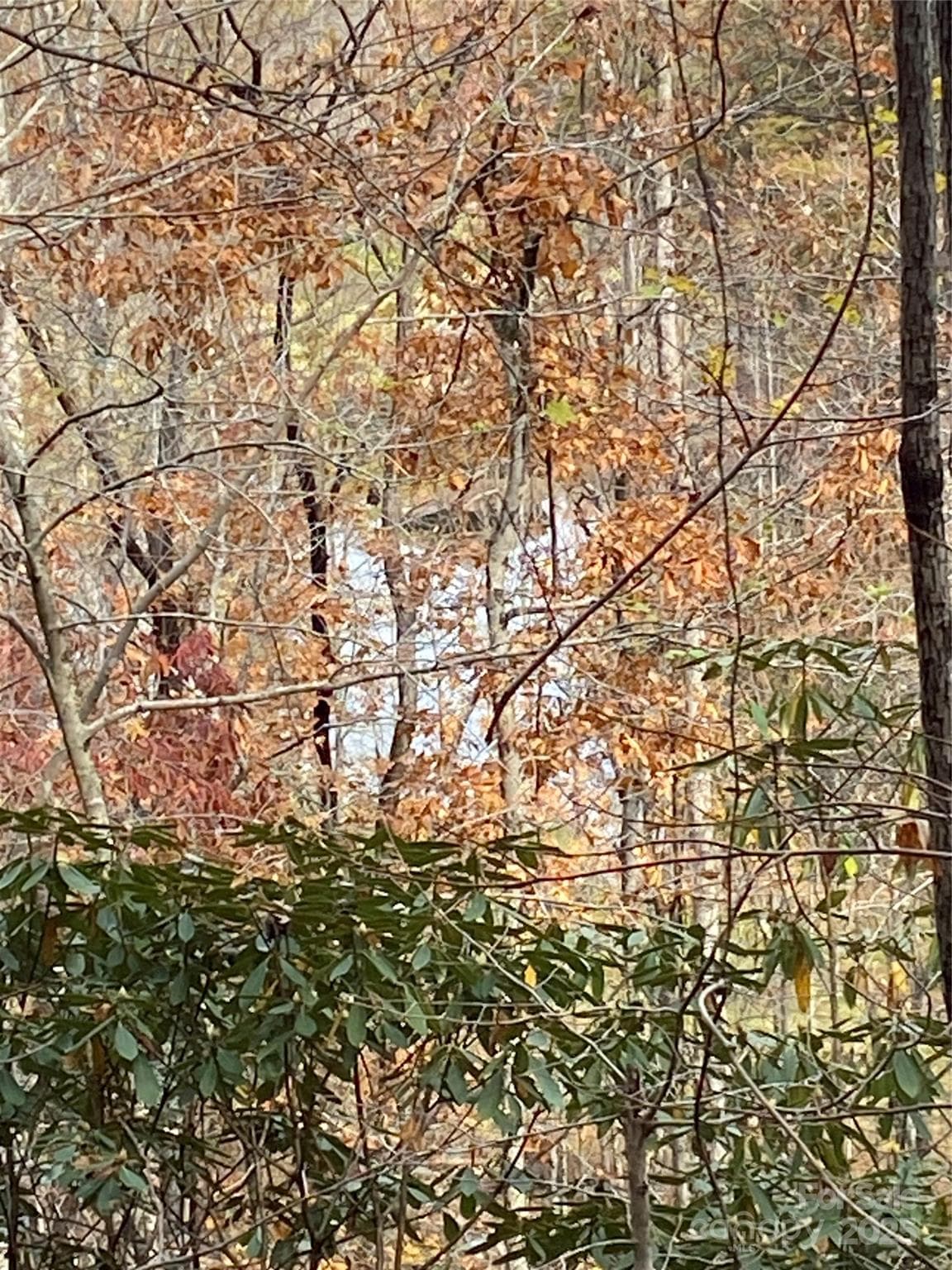 Lot at Lake Lure, photo 6 of 24