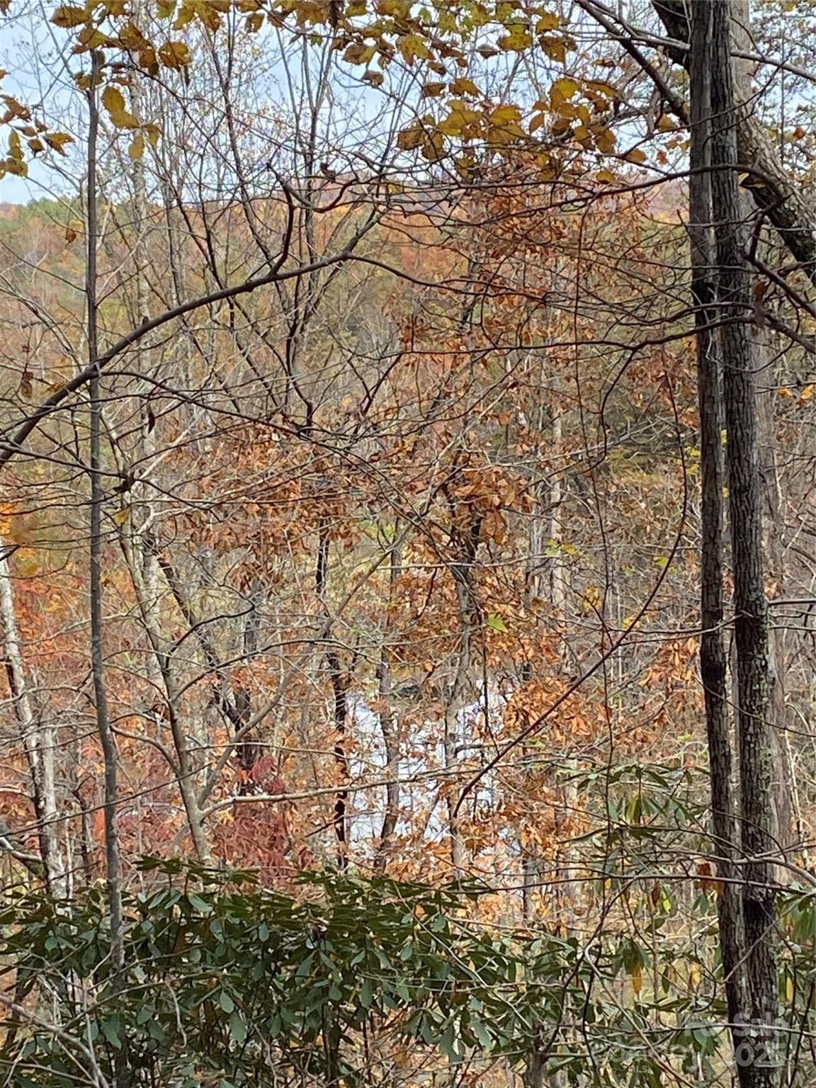 Lot at Lake Lure, photo 8 of 24