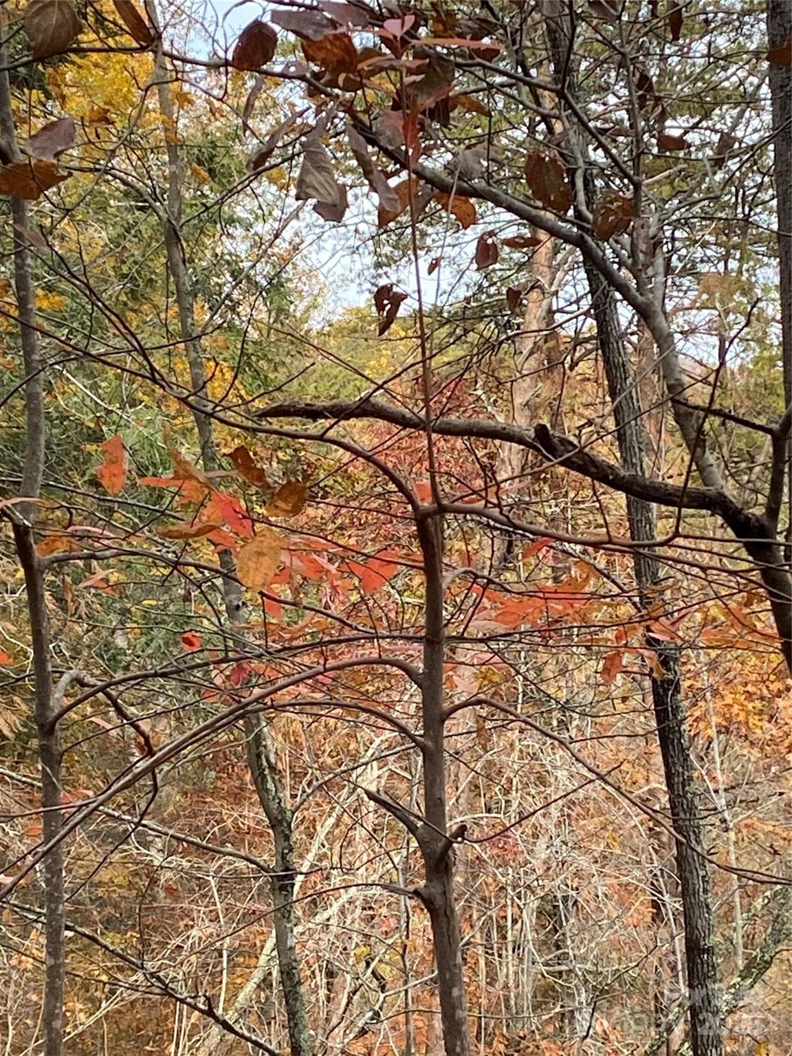 Lot at Lake Lure, photo 9 of 24