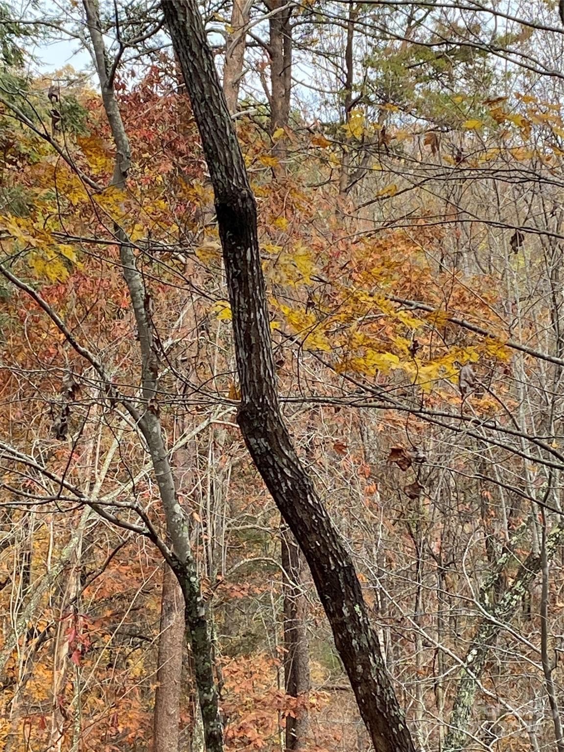 Lot at Lake Lure, photo 11 of 24