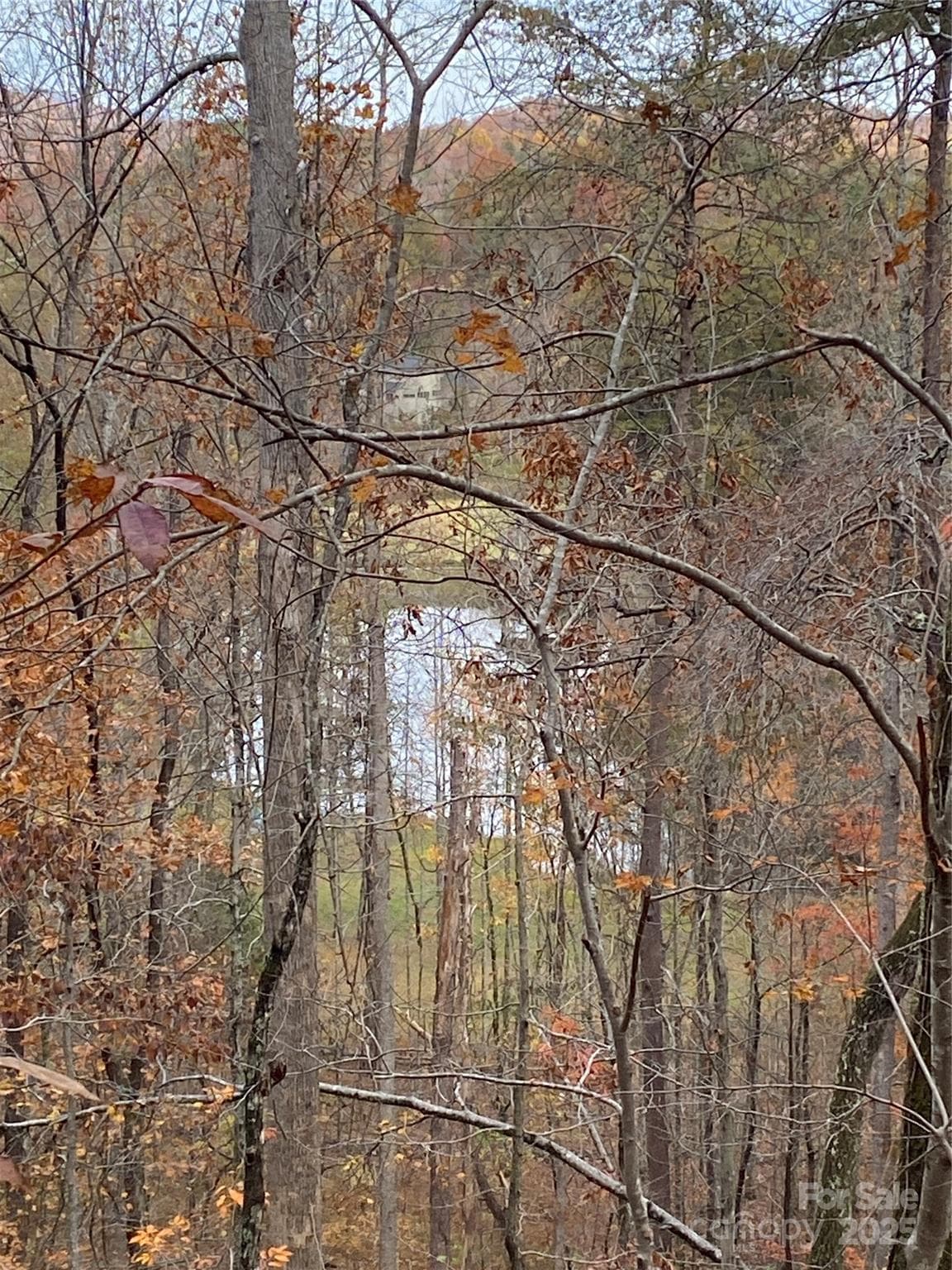 Lot at Lake Lure, photo 13 of 24