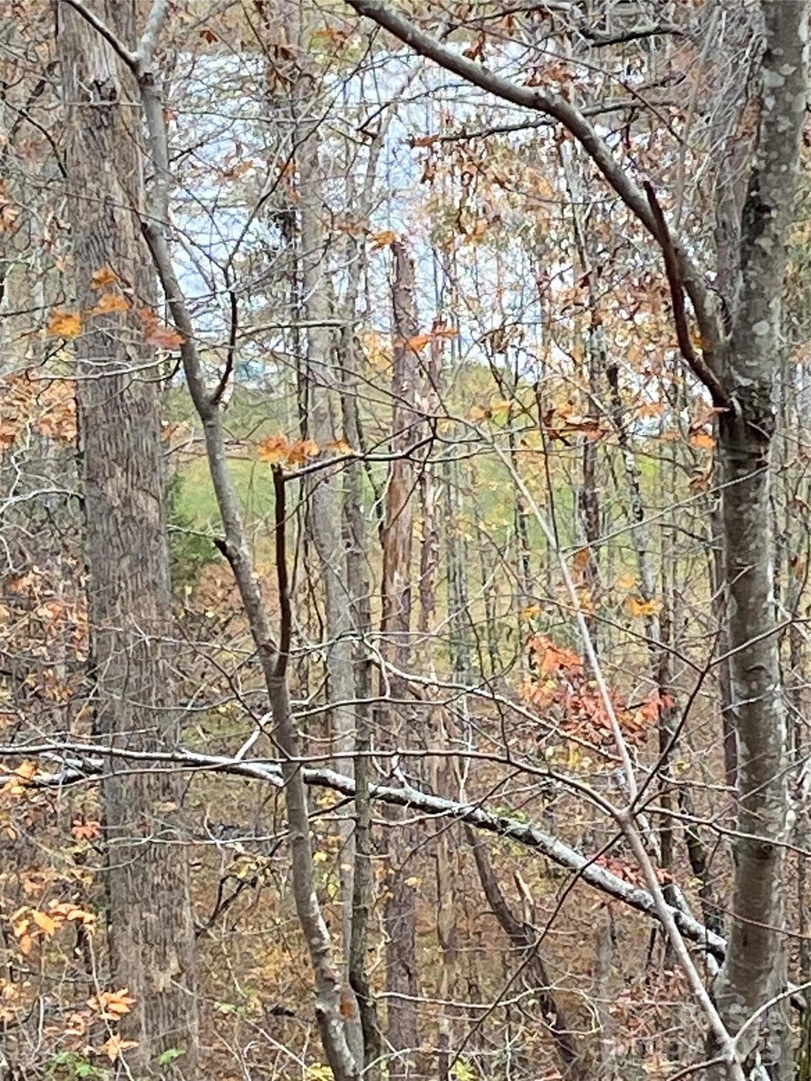 Lot at Lake Lure, photo 14 of 24