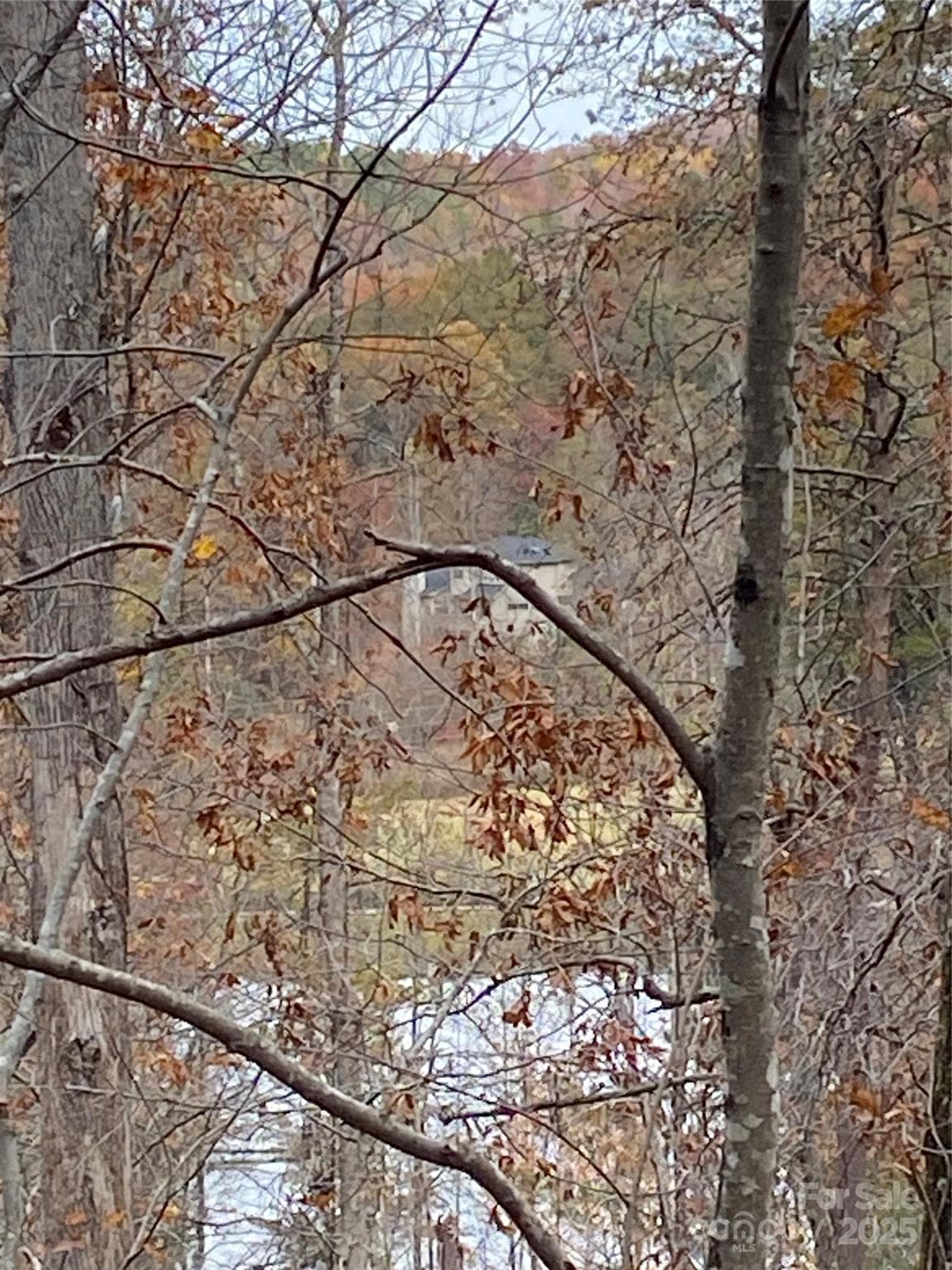 Lot at Lake Lure, photo 15 of 24