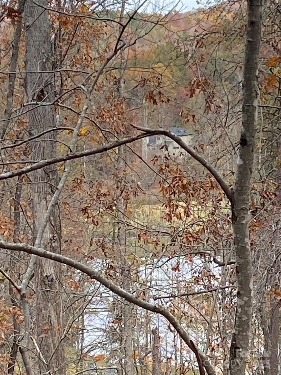 Lot at Lake Lure, photo 16 of 24