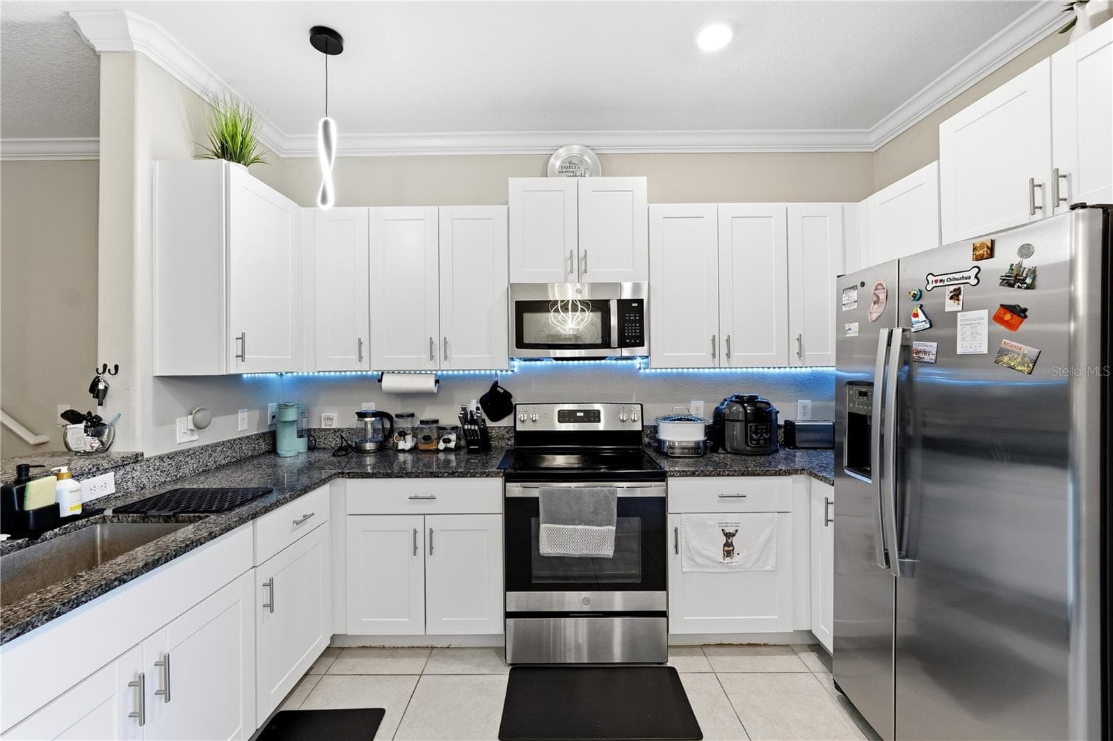 Townhouse at 23217 WILLOW GLEN WAY, LUTZ, photo 15 of 47