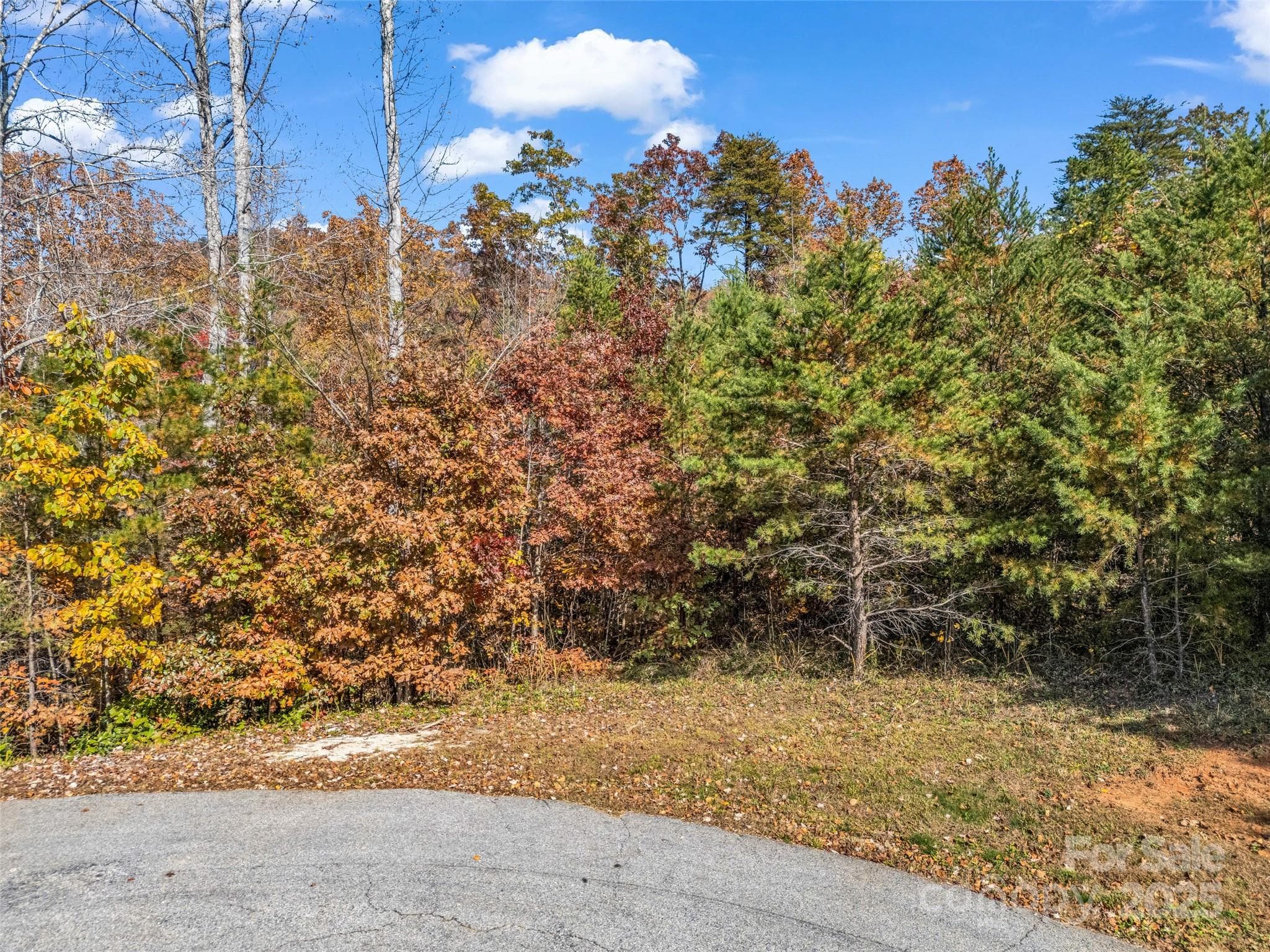 Lot at Lake Lure, photo 30 of 35