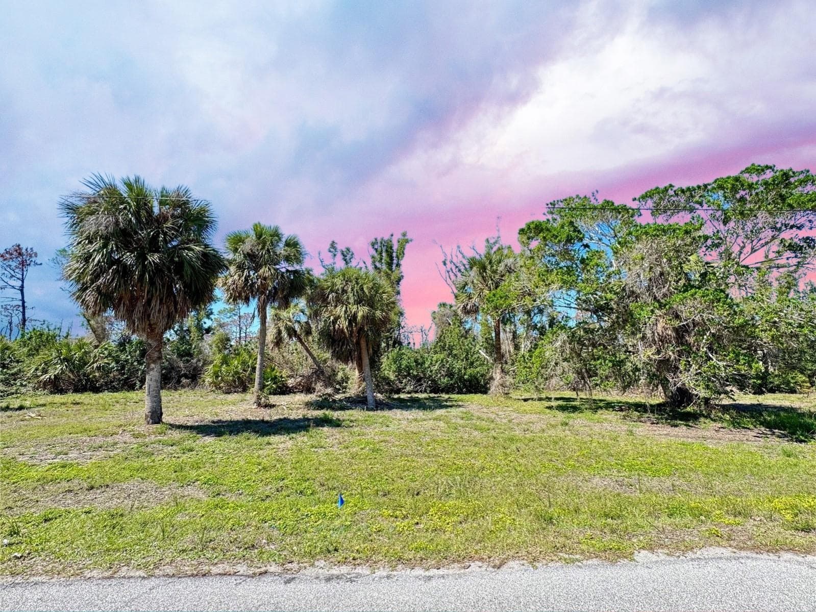 Land at 50 COBIA DR, PLACIDA, photo 3 of 8