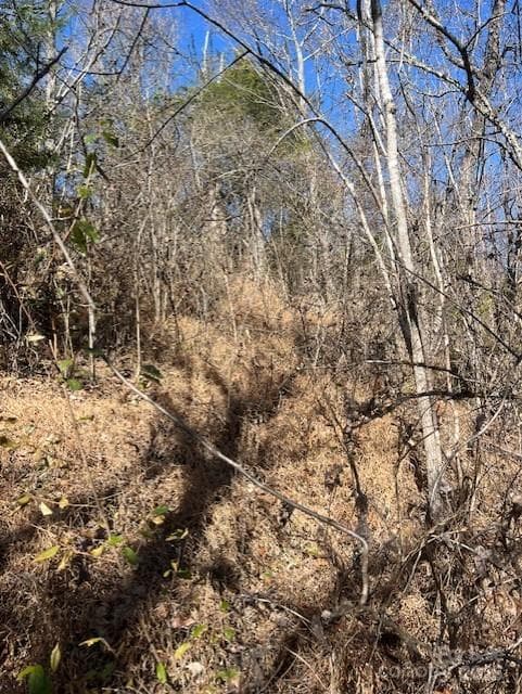 Lot at Marshall, photo 8 of 10