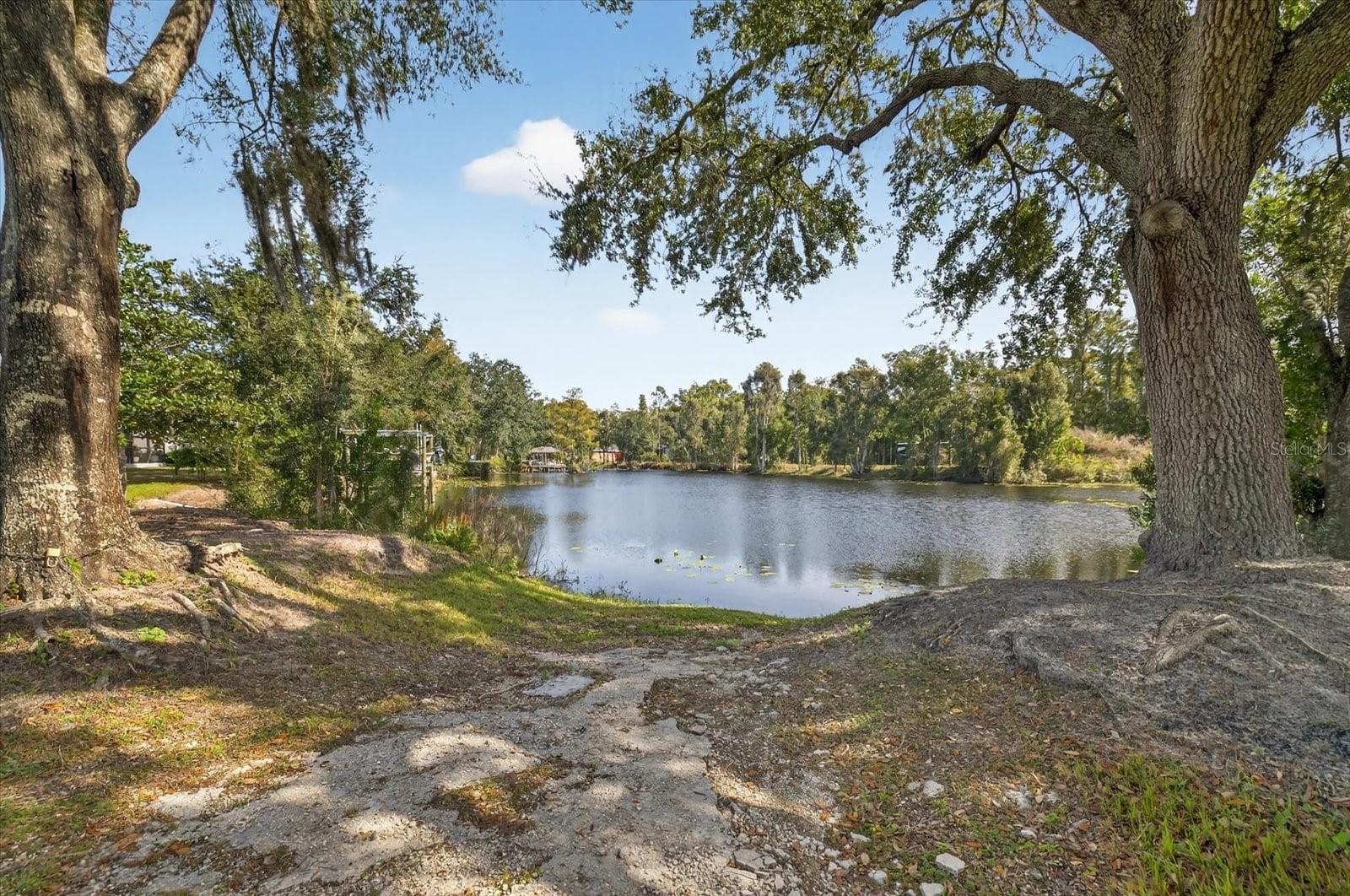 Land at 3926 COVE LAKE PL, LAND O LAKES, photo 16 of 17