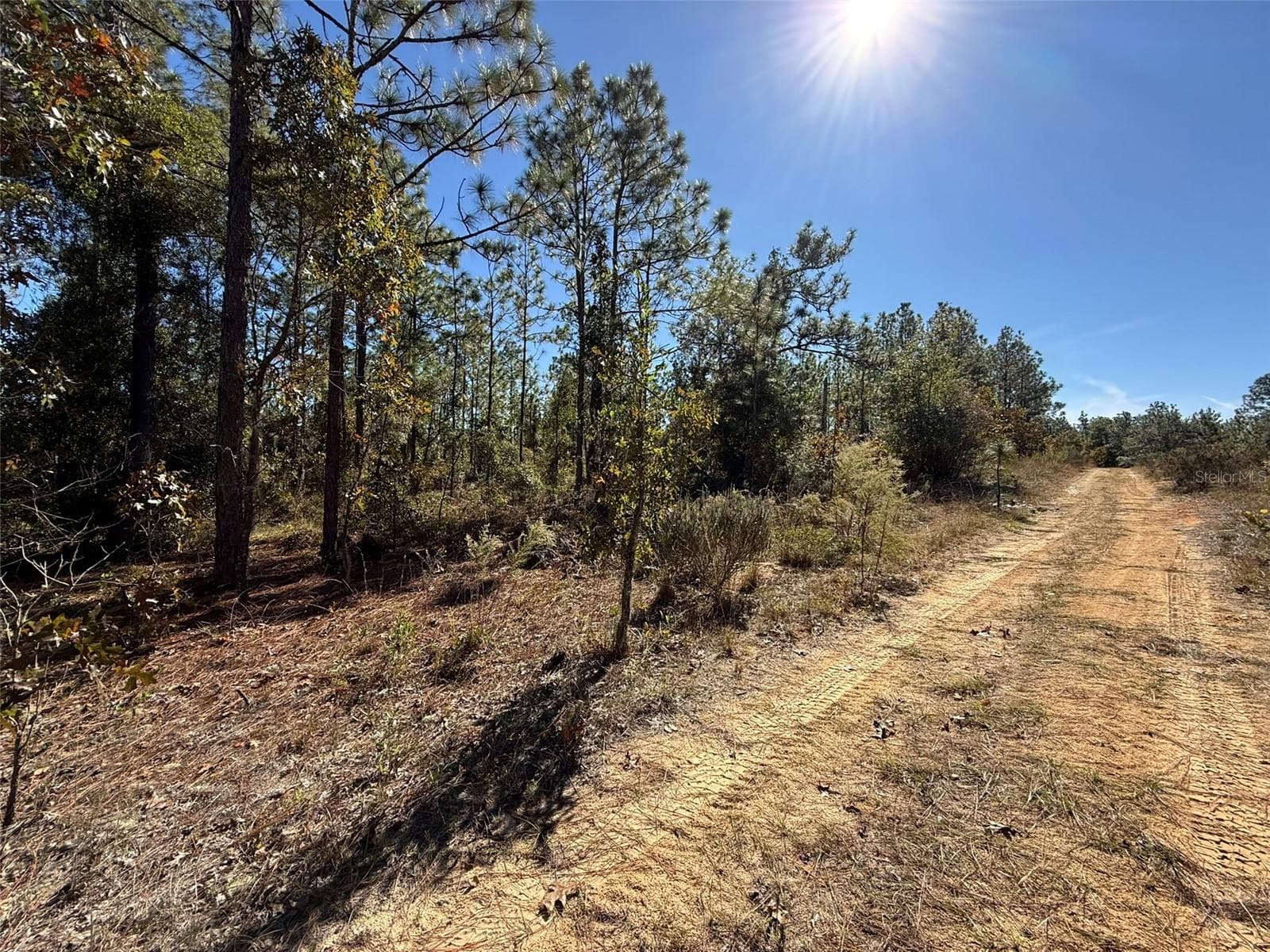 Land at 0 MONROE AVE LOT 12-17, HAWTHORNE, photo 3 of 9