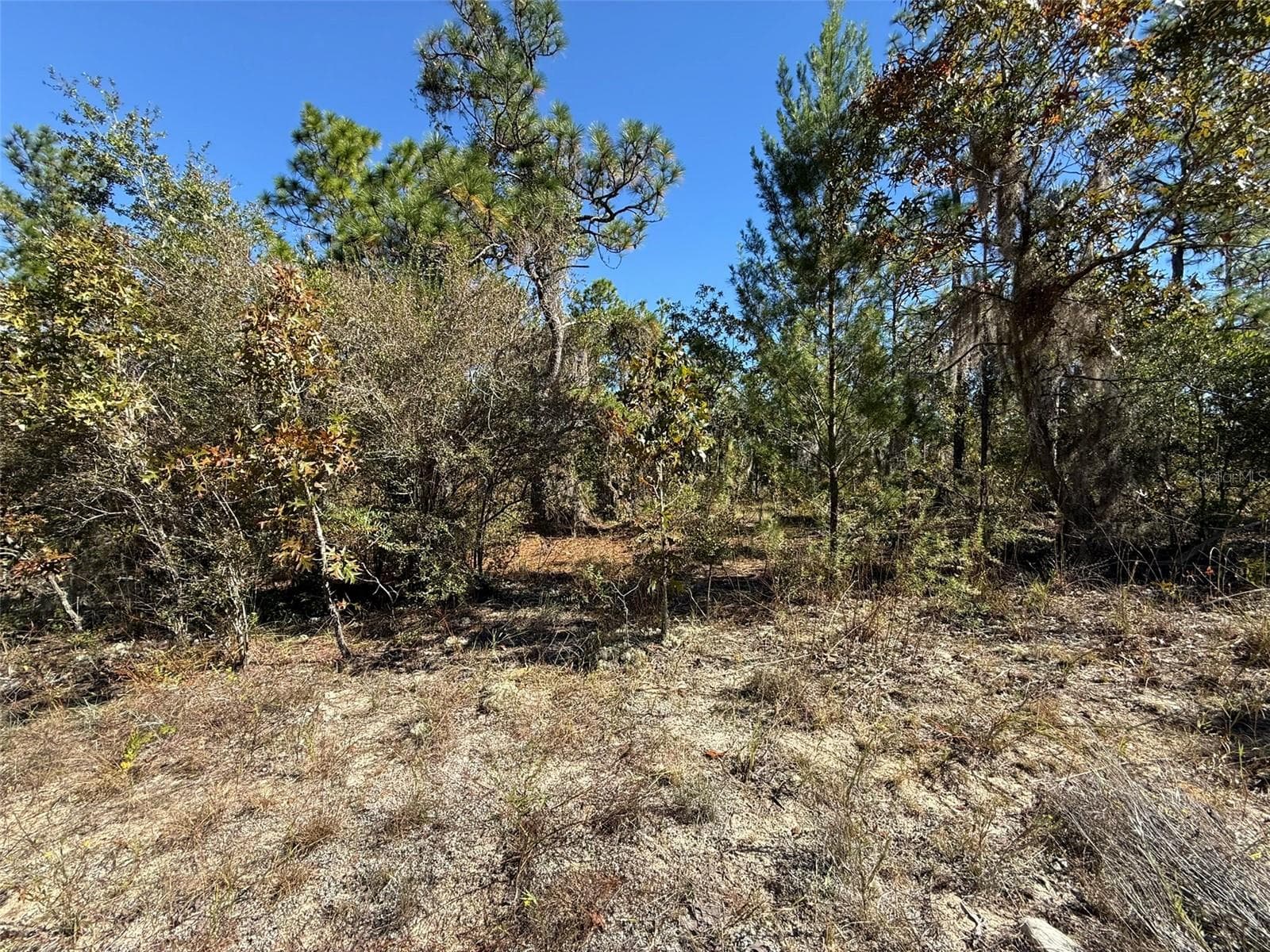 Land at 0 MONROE AVE LOT 12-17, HAWTHORNE, photo 5 of 9