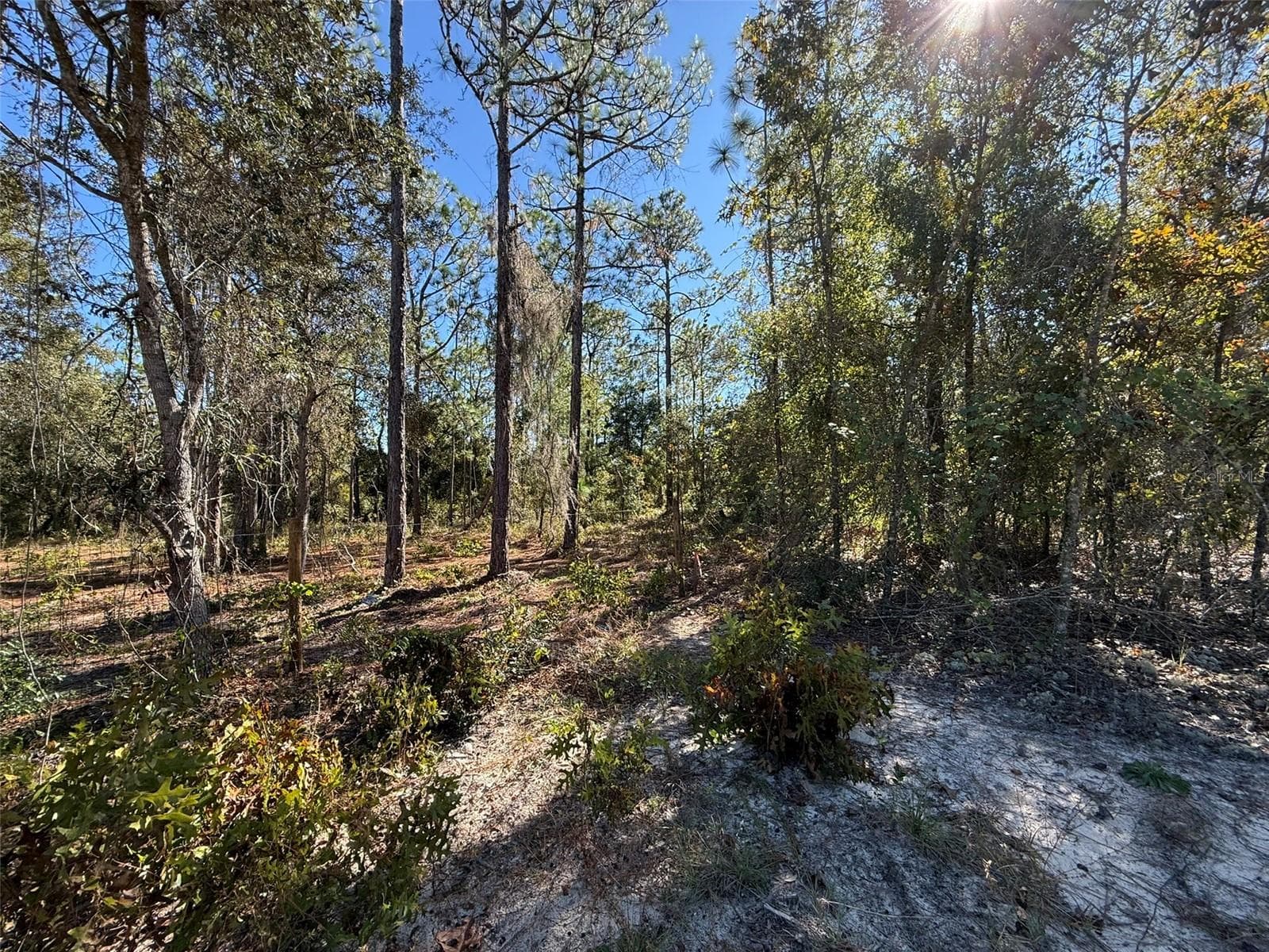 Land at 0 MONROE AVE LOT 12-17, HAWTHORNE, photo 6 of 9