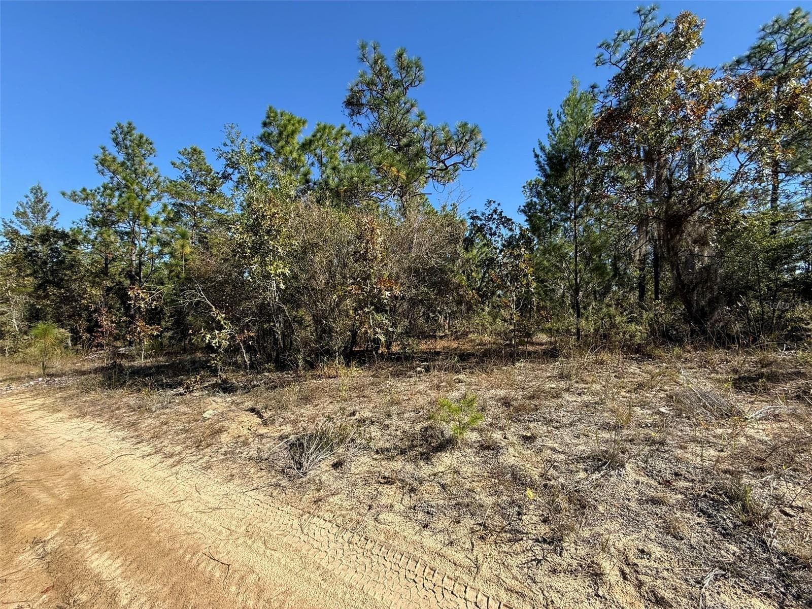 Land at 0 MONROE AVE LOT 12-17, HAWTHORNE, photo 7 of 9