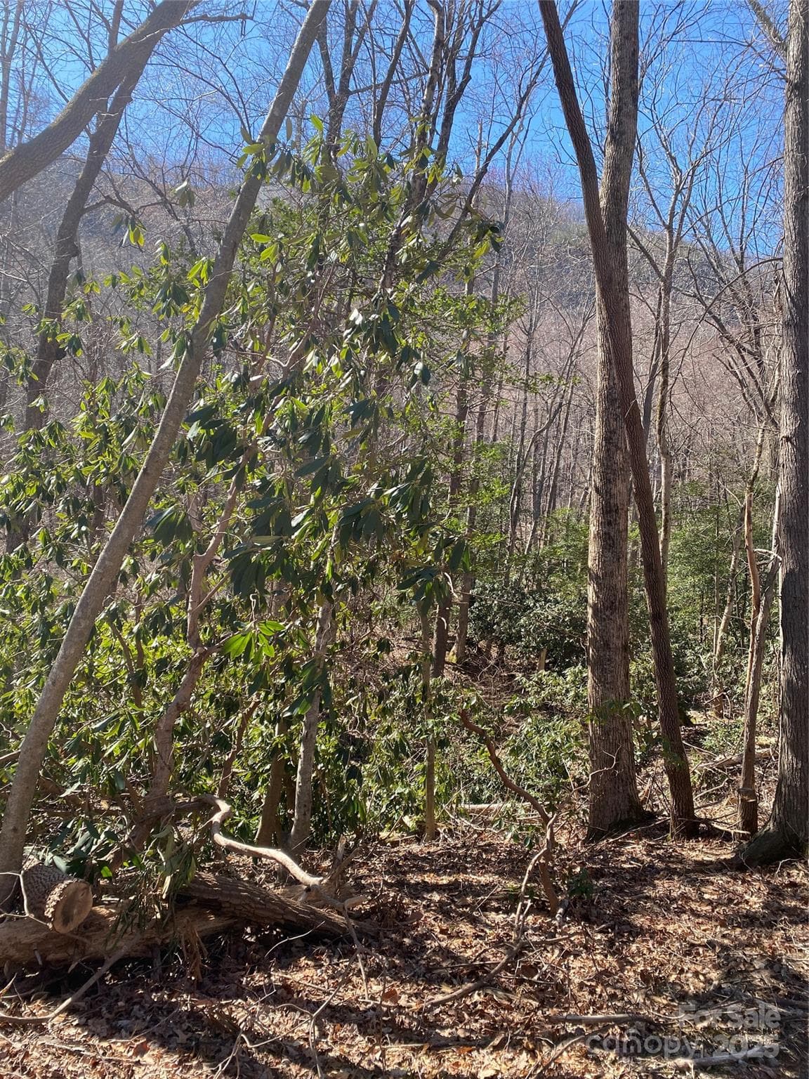 Lot at Lake Lure, photo 3 of 24