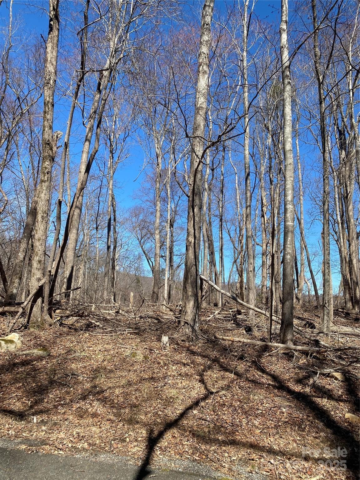 Lot at Lake Lure, photo 4 of 24