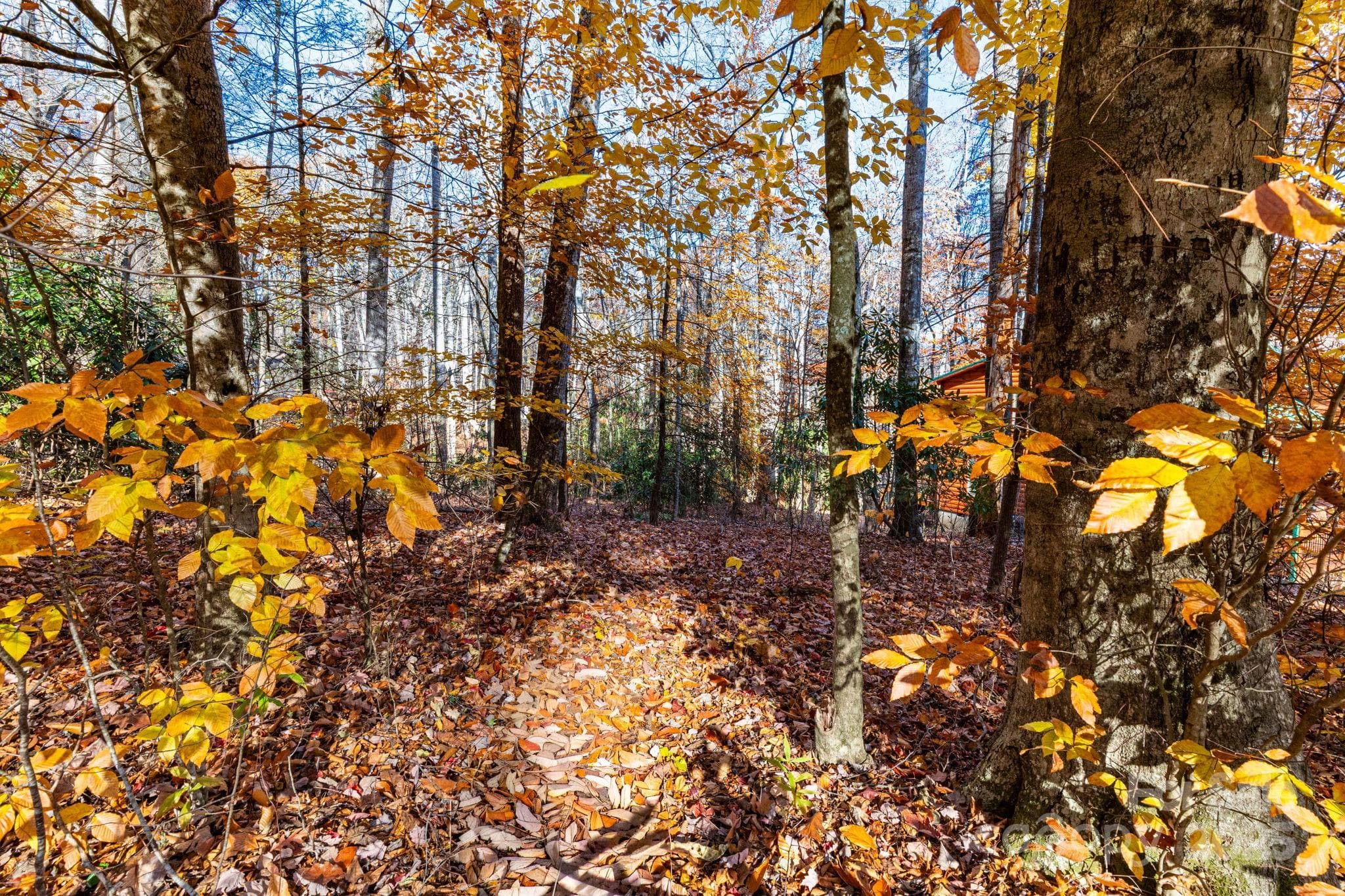 Lot at Maggie Valley, photo 7 of 22