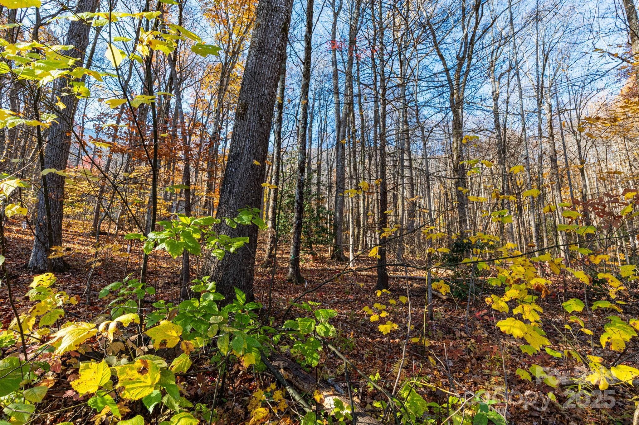 Lot at Maggie Valley, photo 8 of 22