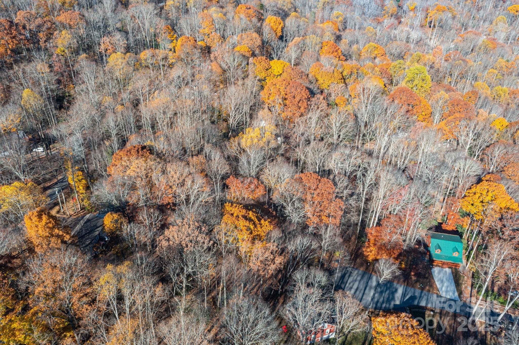 Lot at Maggie Valley, photo 16 of 22