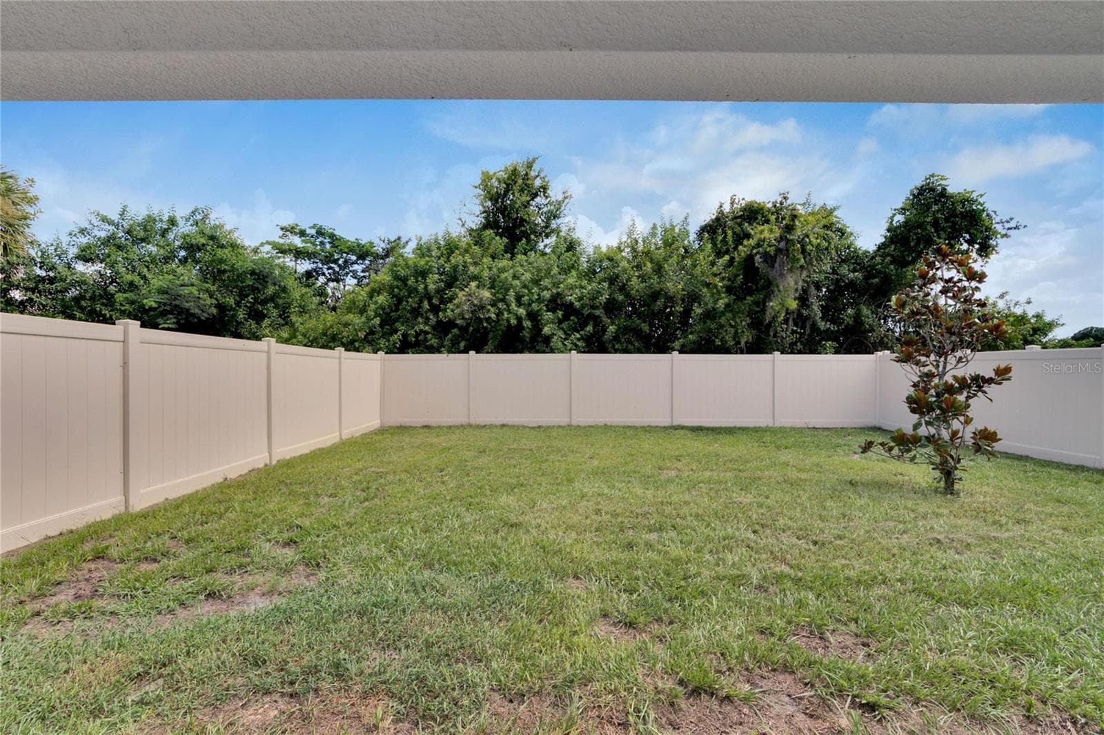 Back yard - 5547 LOGAN CAVE AVE, WIMAUMA