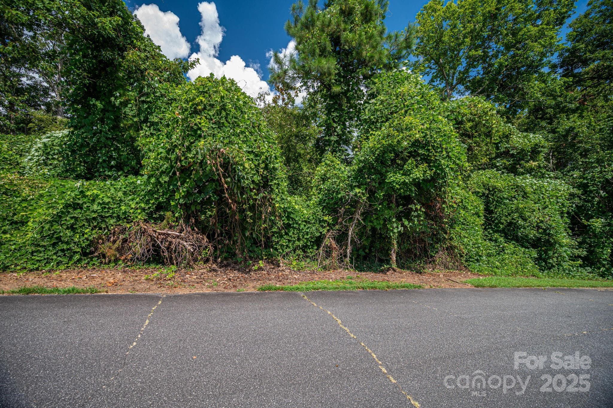 Lot at Lot 25 Line Drive, Forest City, photo 4 of 11