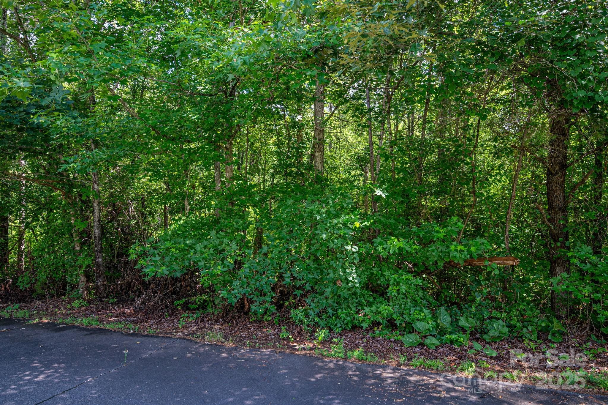 Lot at Lot 33 Line Drive, Forest City, photo 2 of 11