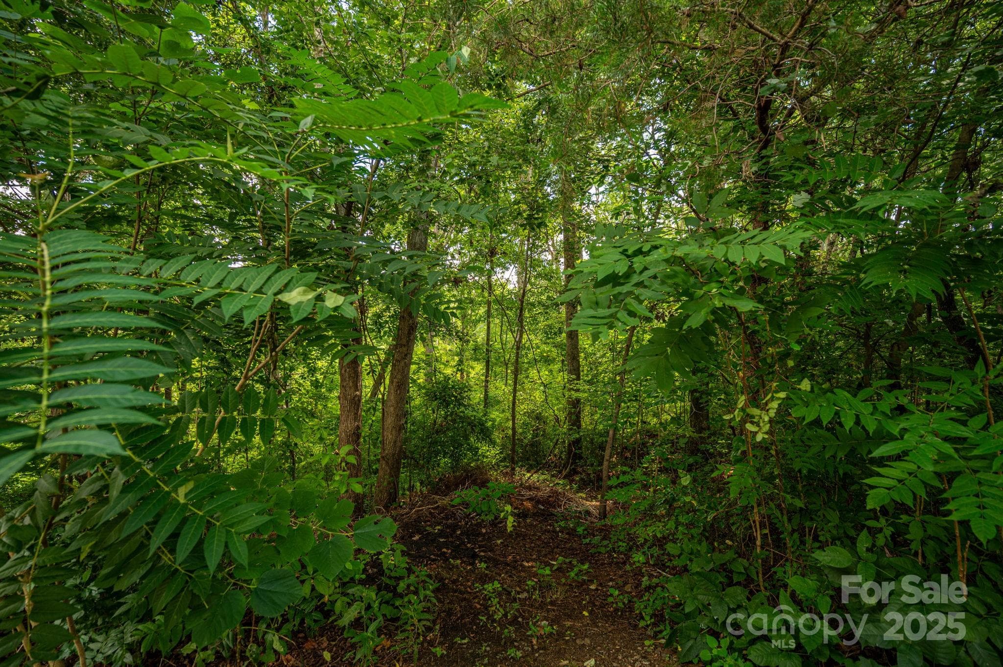 Lot at Lot 35 Line Drive, Forest City, photo 2 of 13