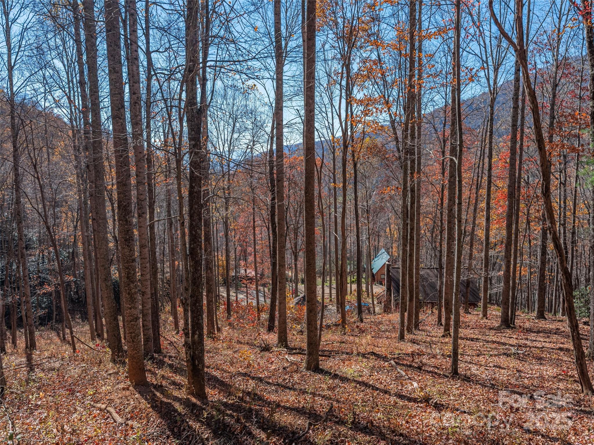 Lot at Clyde, photo 6 of 29