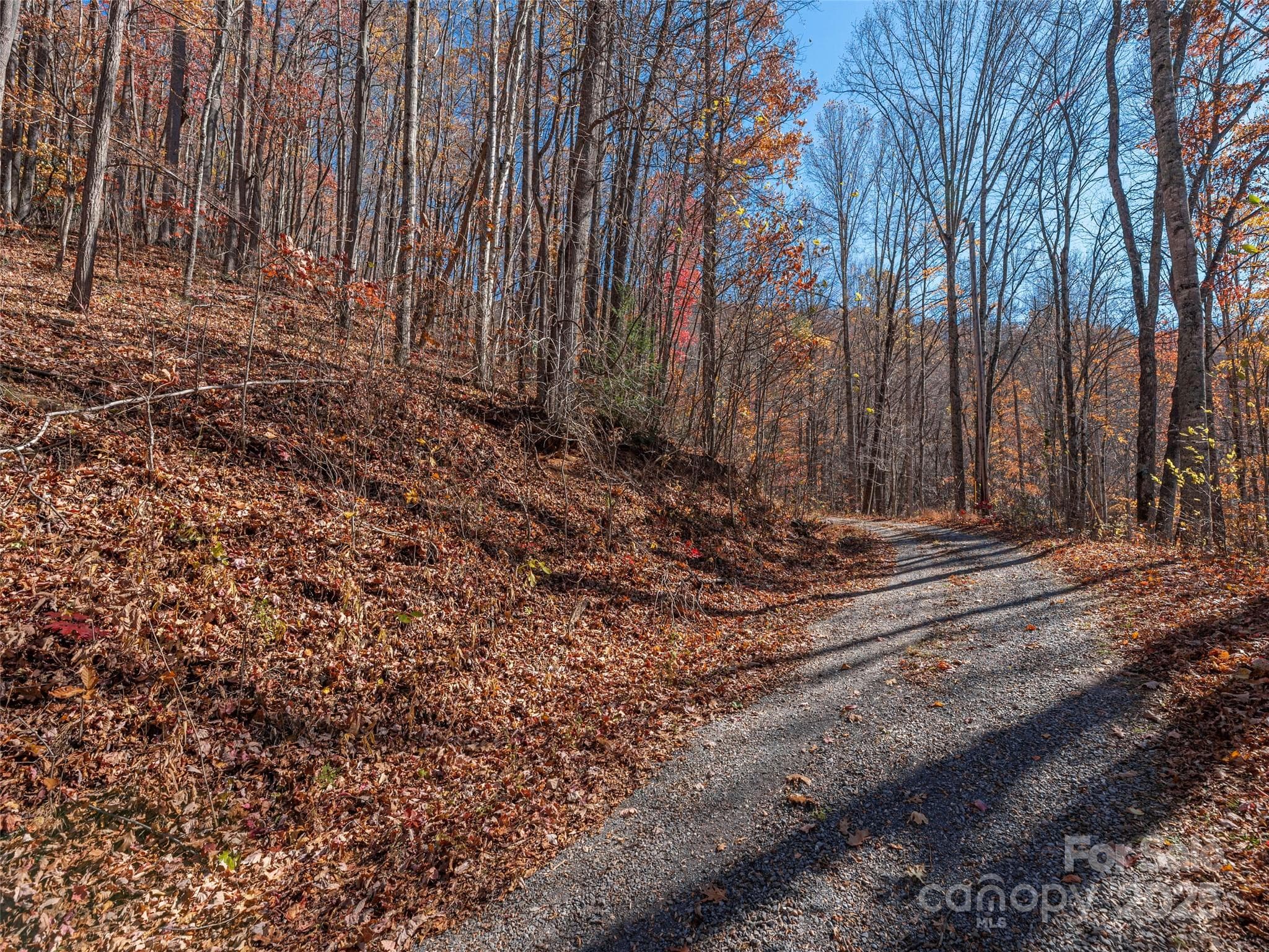 Lot at Clyde, photo 8 of 29