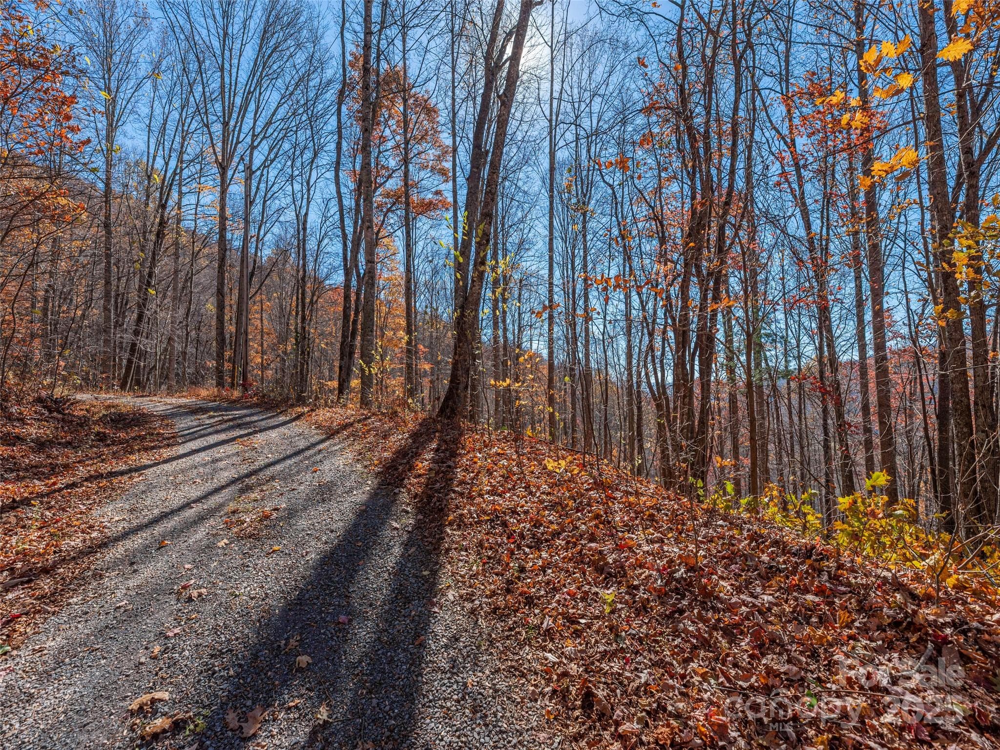Lot at Clyde, photo 9 of 29