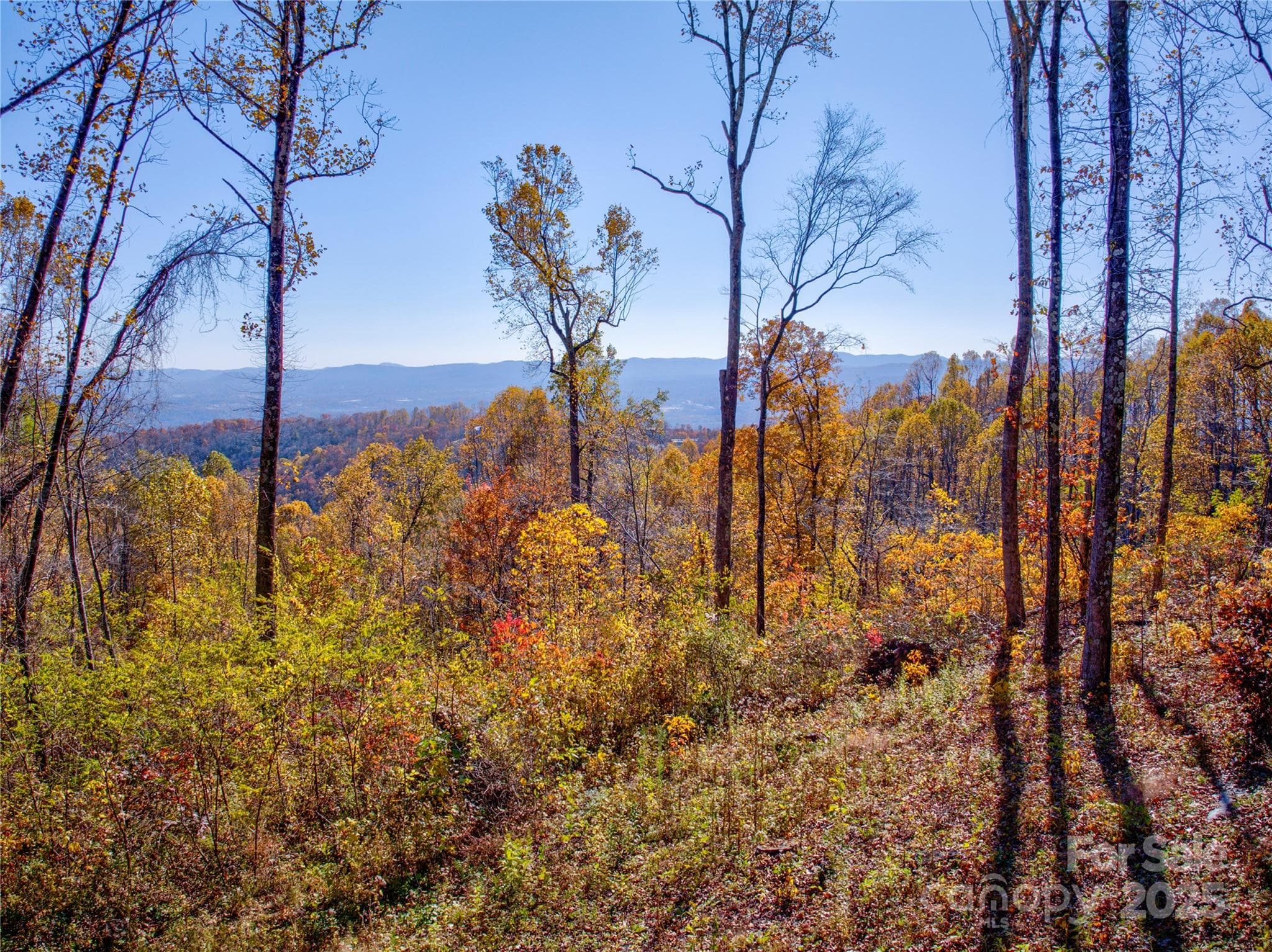 Lot at Fletcher, photo 2 of 35