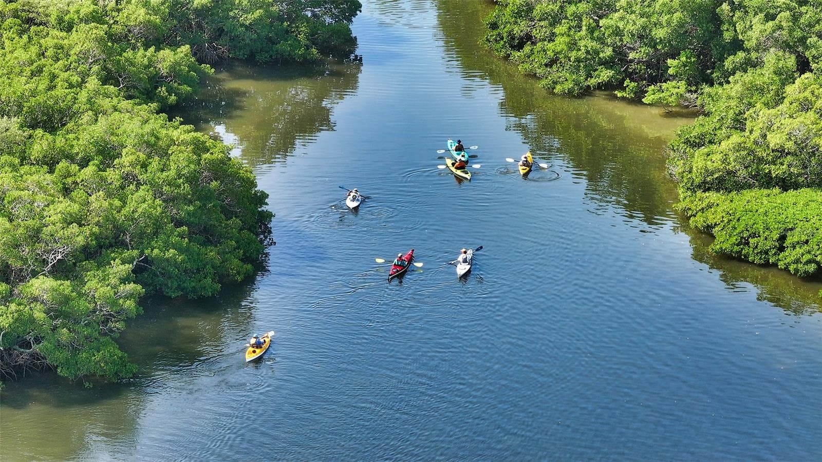 Windward Bay Kayak Fun between "F" and "E" Buildings! - 4500 GULF OF MEXICO DR #206, LONGBOAT KEY