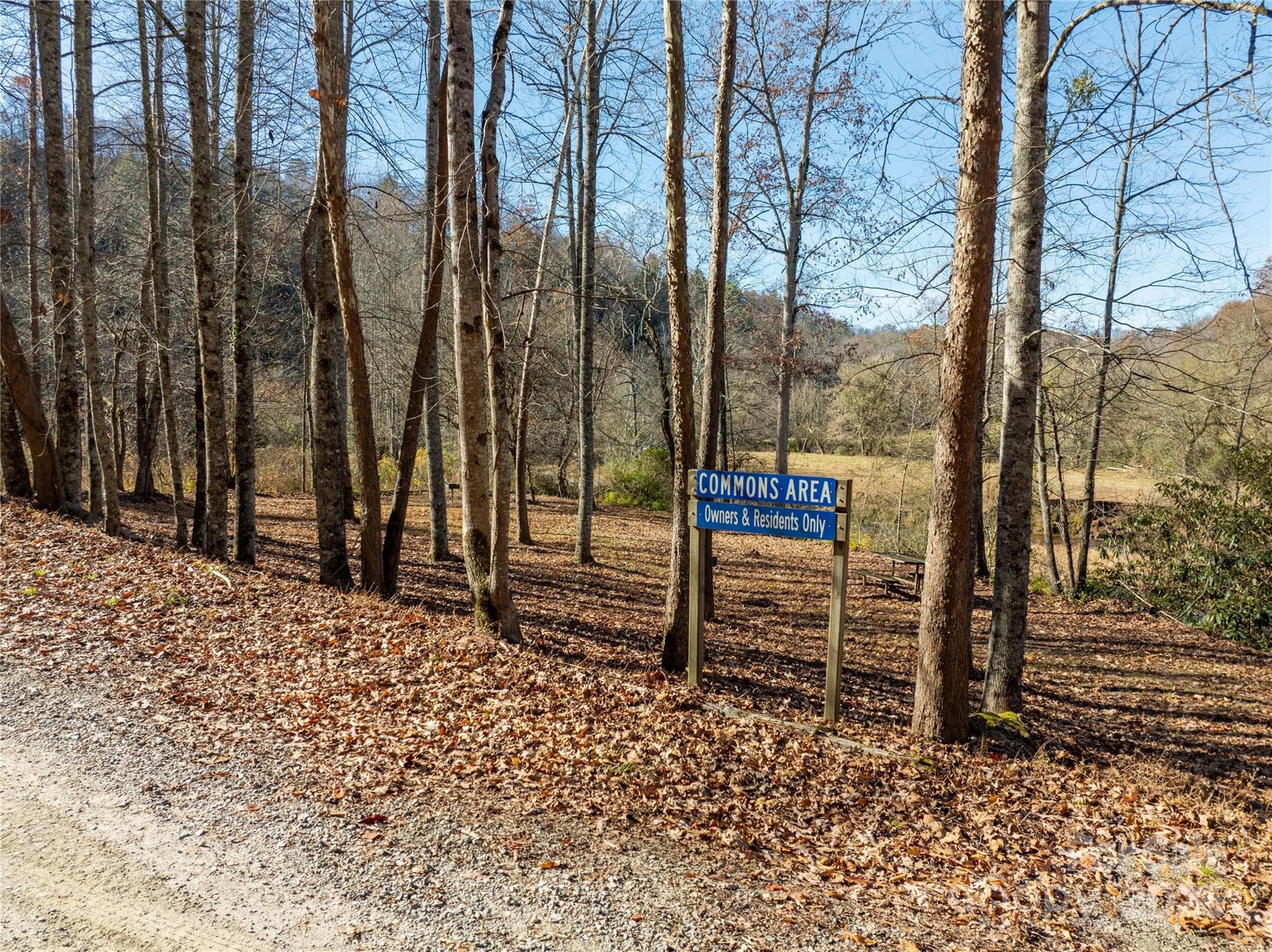 Acreage at 85 Brown Lane, Marble, photo 16 of 35