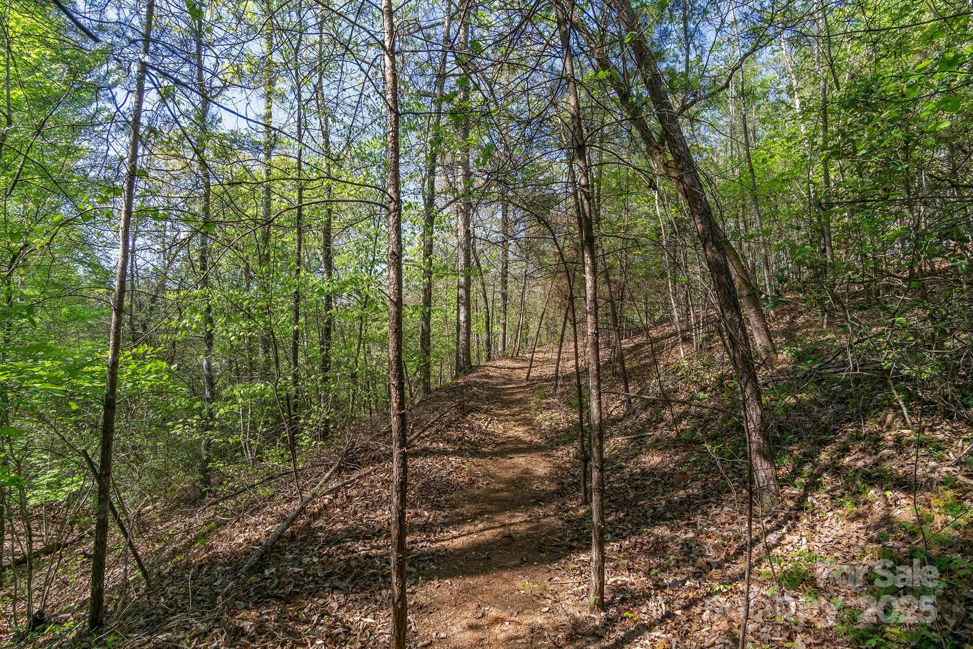Lot at V/L Easy Street, Lake Lure, photo 8 of 34