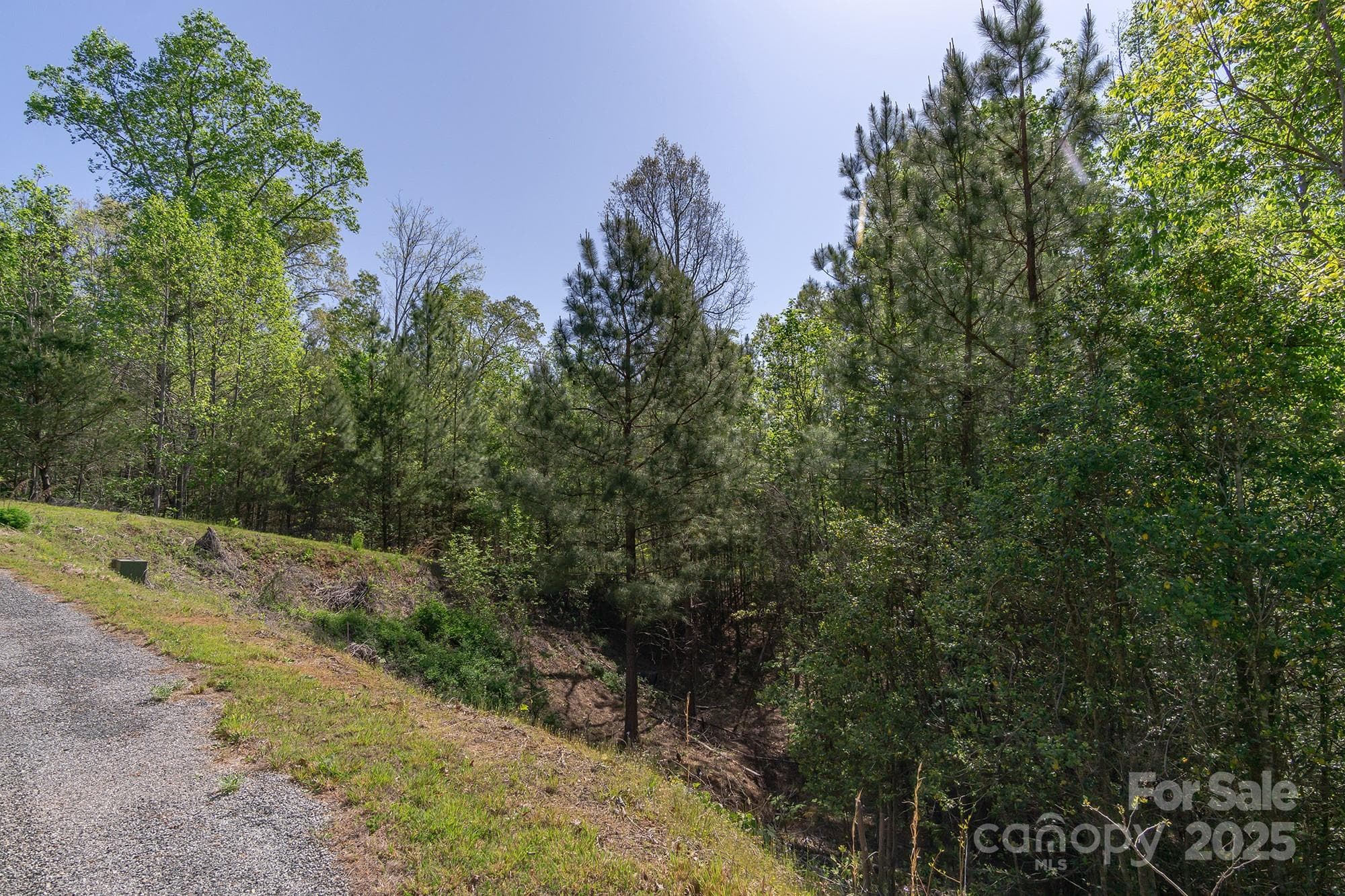 Lot at V/L Easy Street, Lake Lure, photo 10 of 34