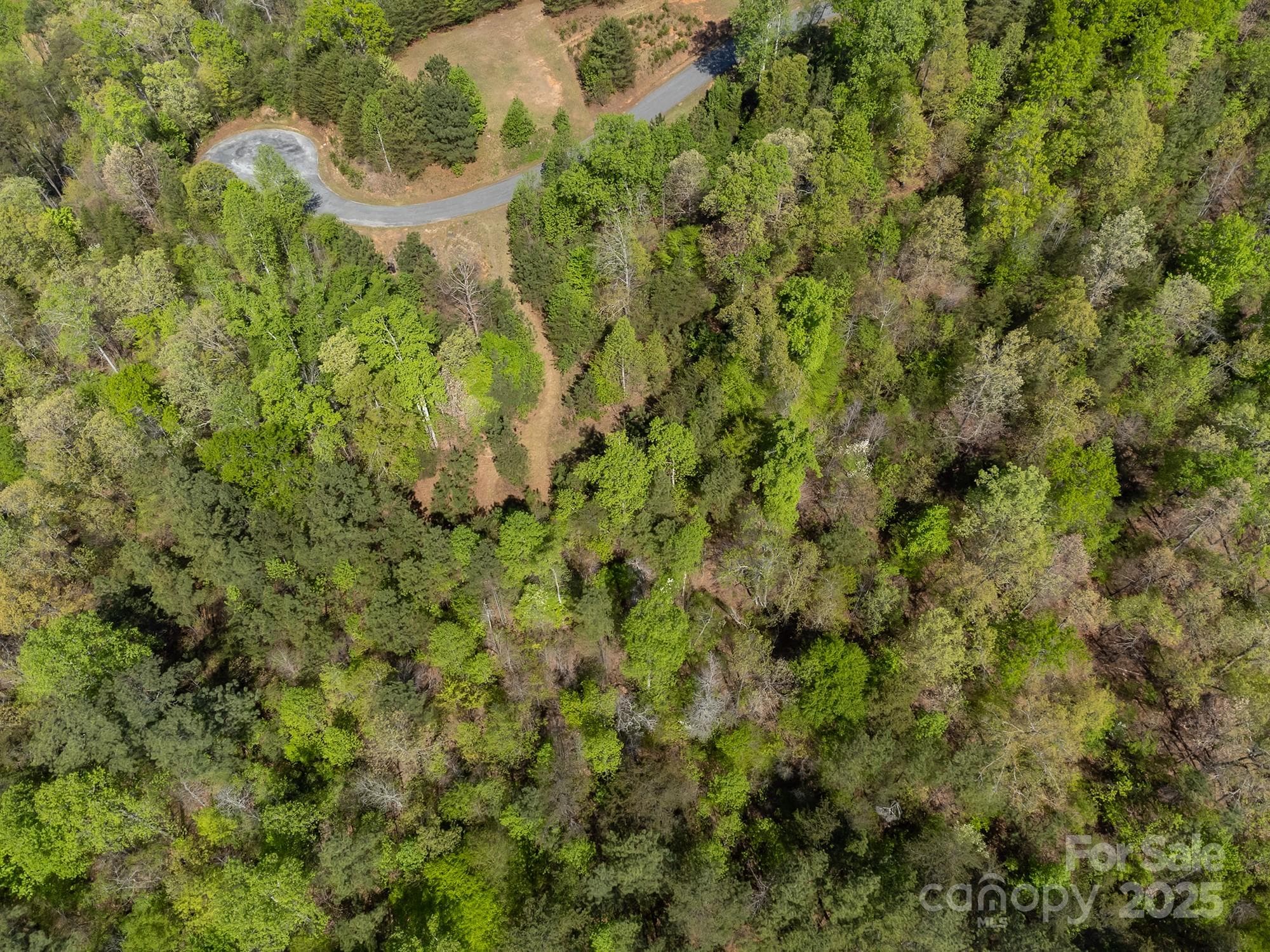 Lot at V/L Easy Street, Lake Lure, photo 16 of 34